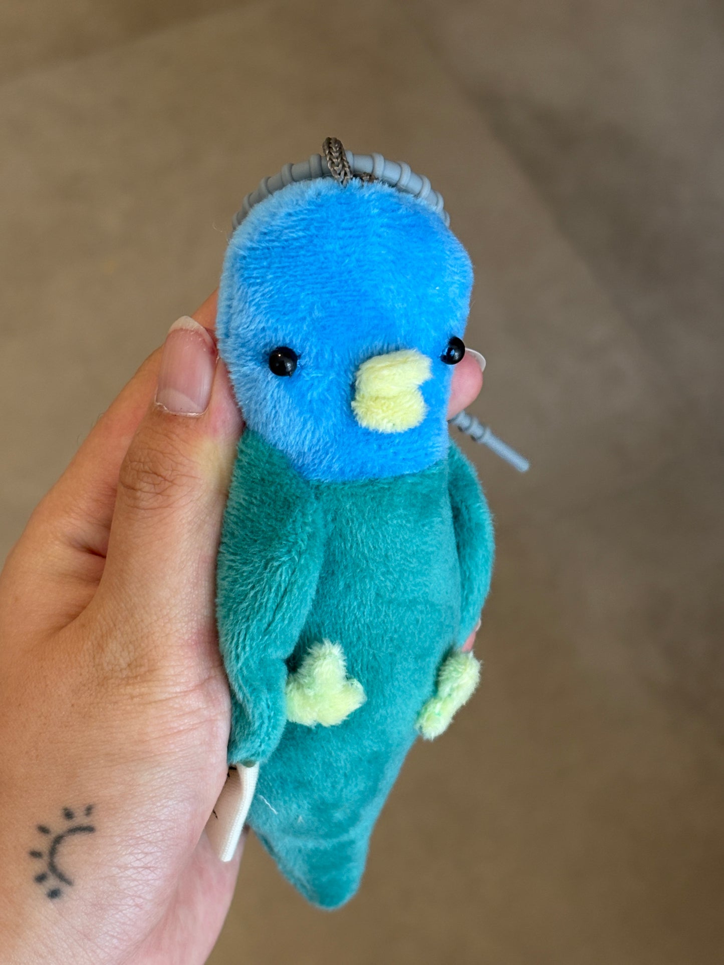 Buyung the Blue Headed Parrot