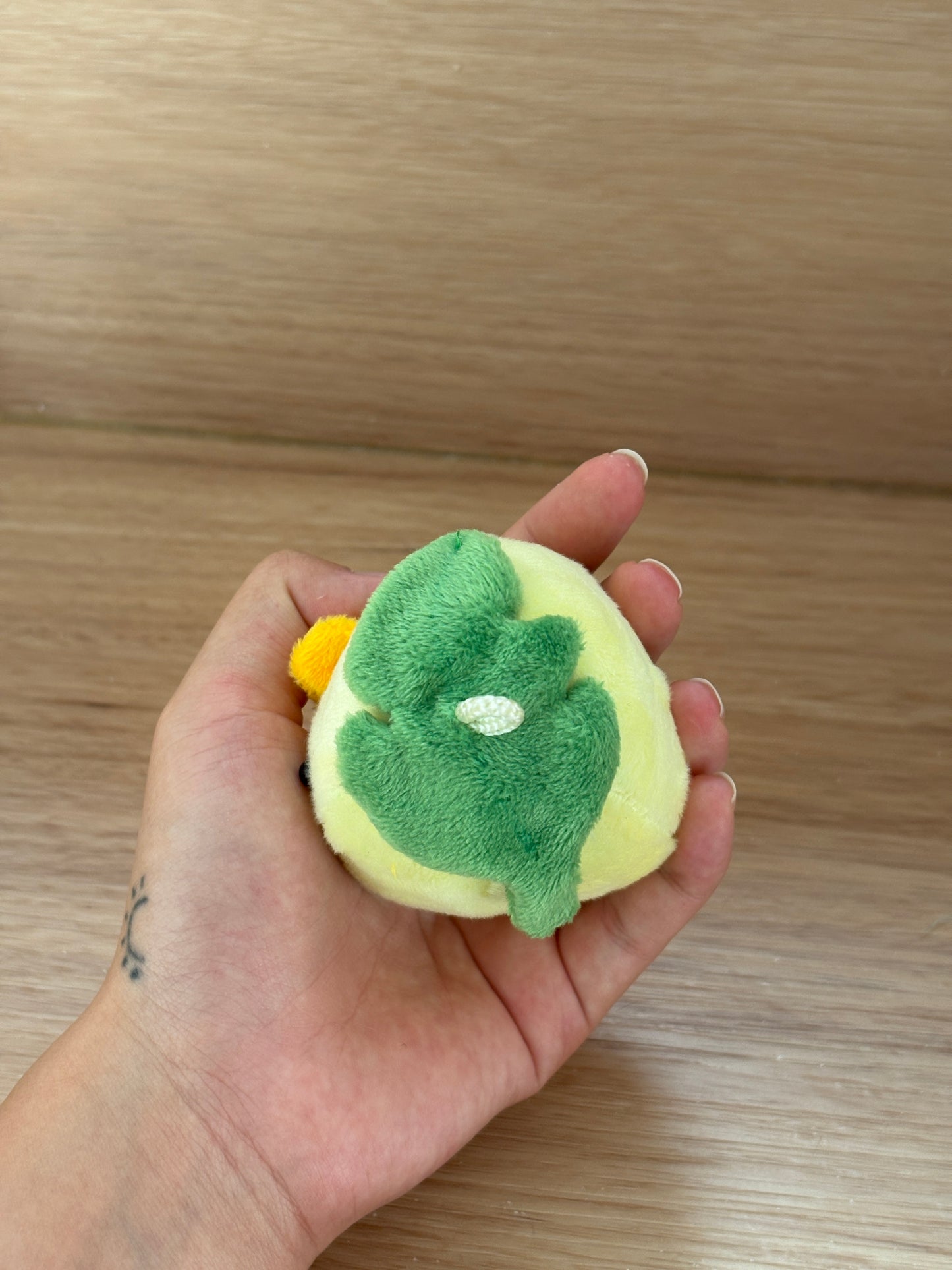 Encip the Mochi Headed Chicken