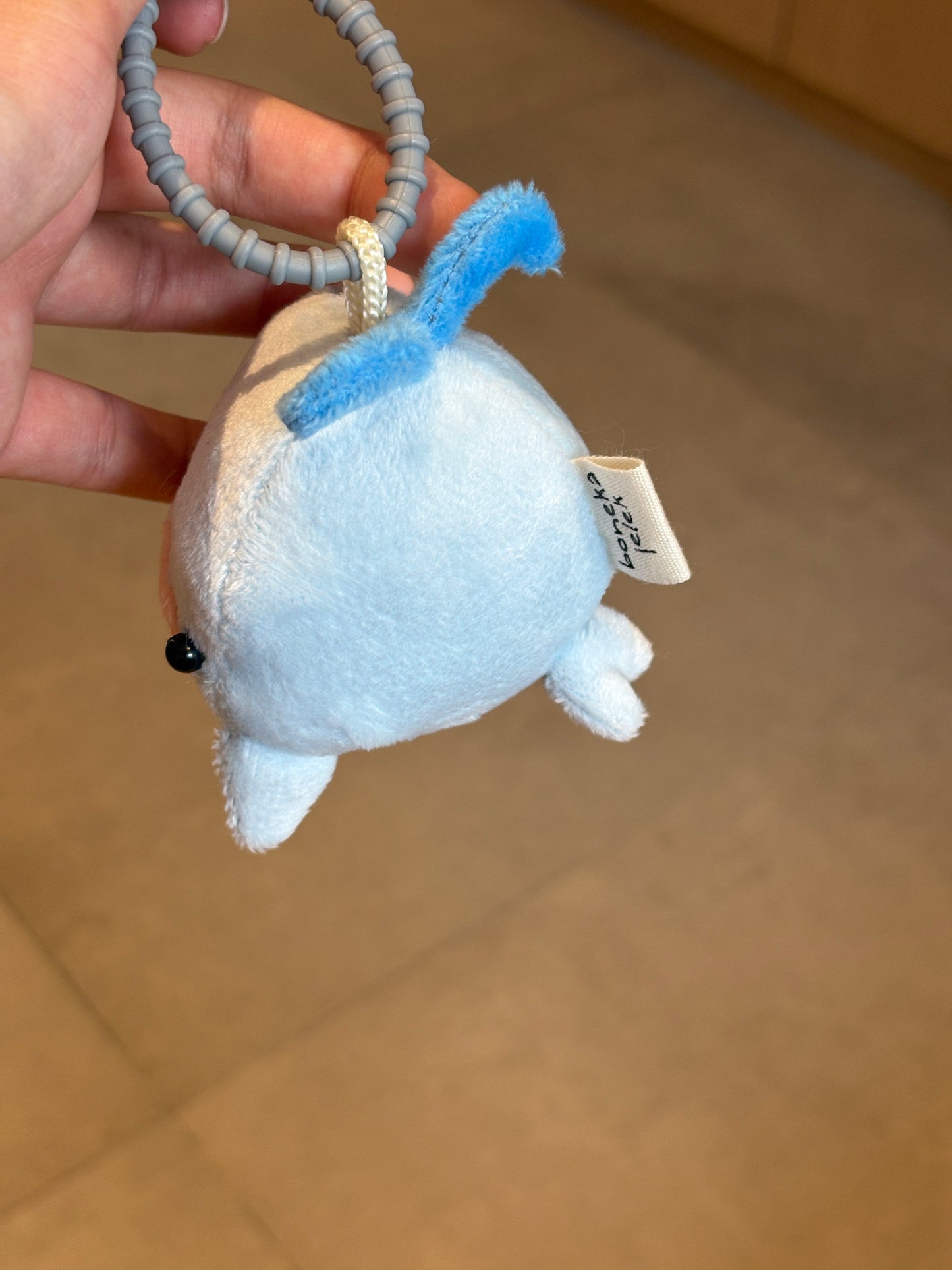 Jadu the Whale