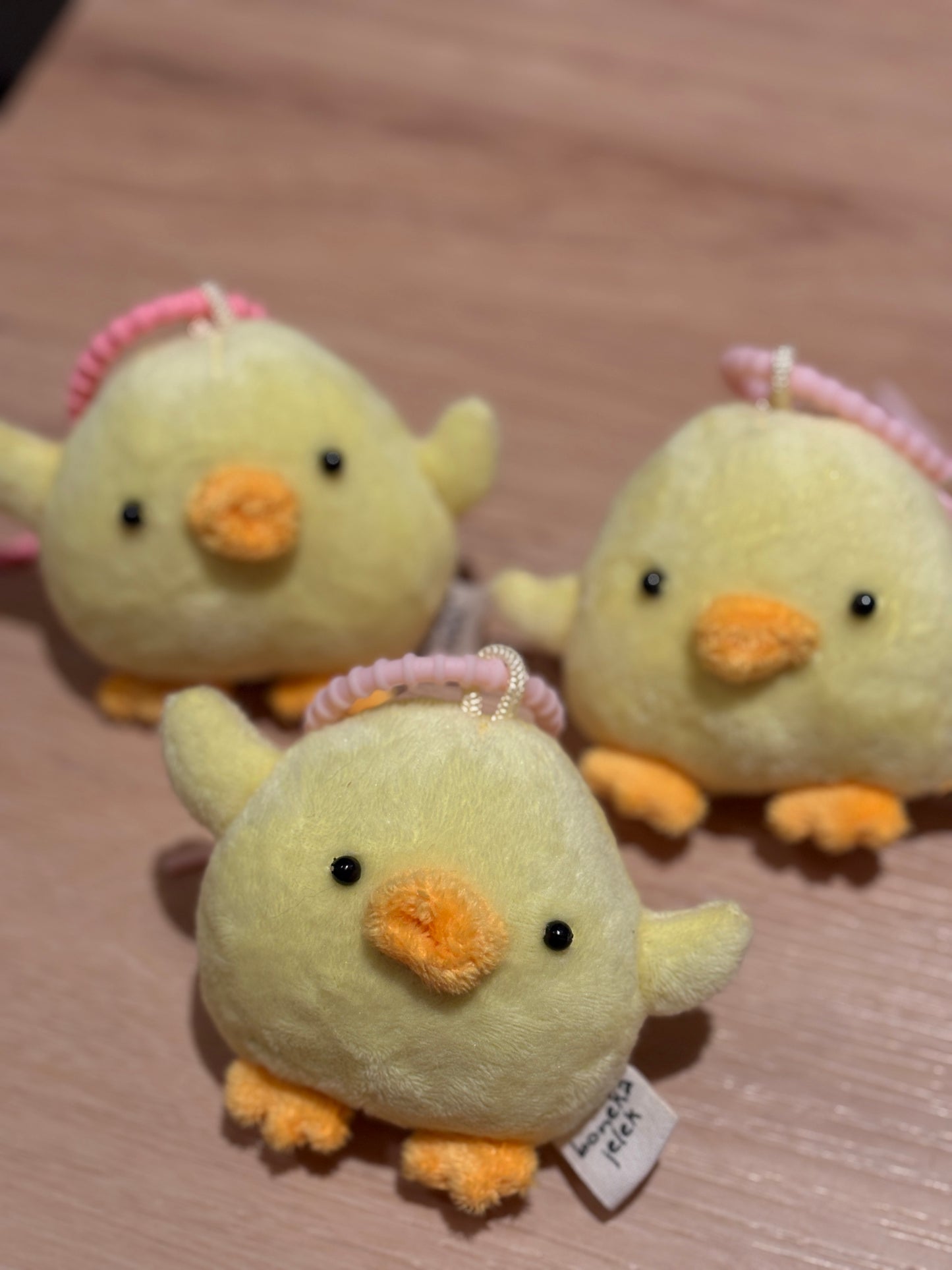 Onigiri Ducks