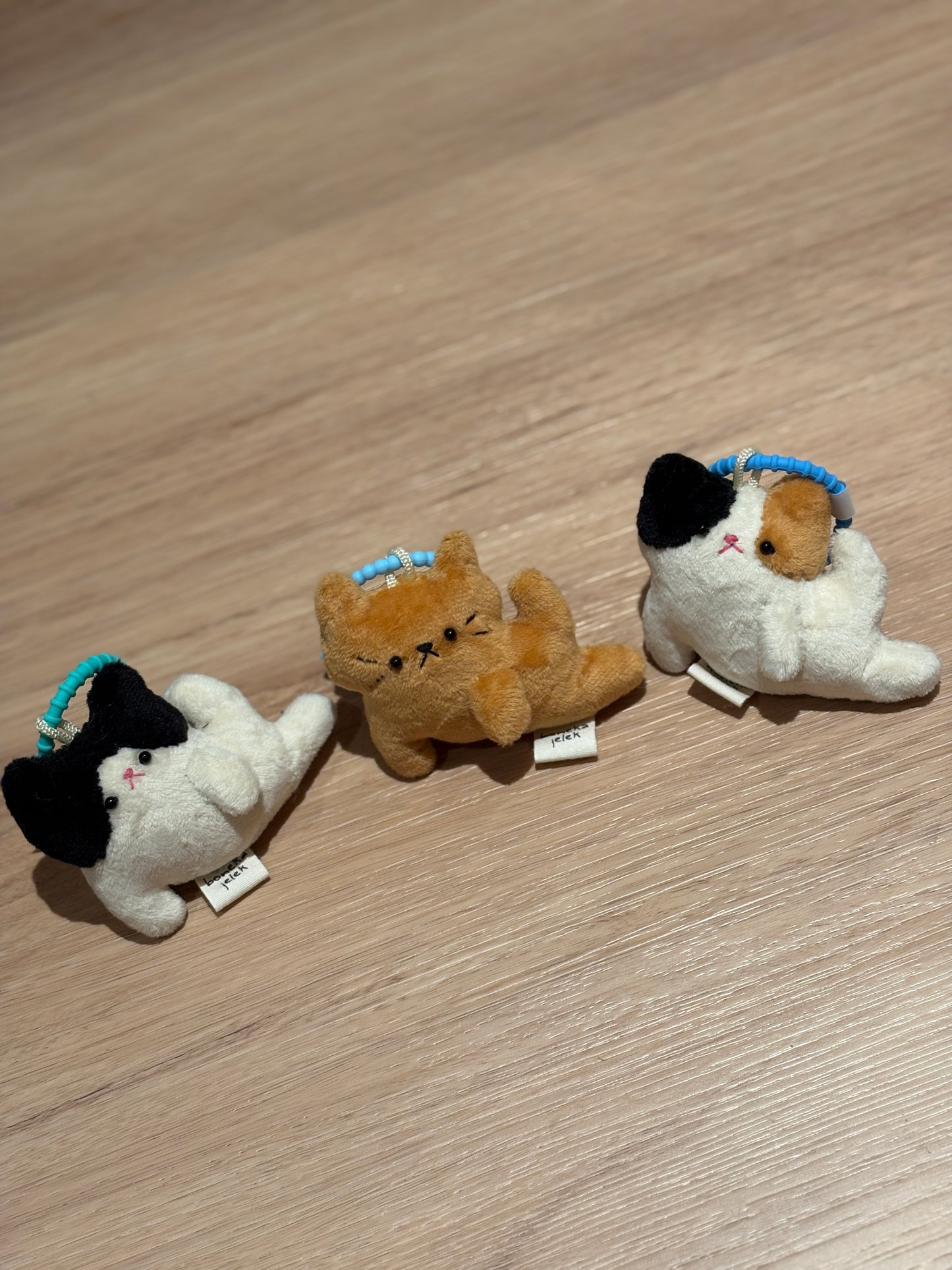 Pilates Cats
