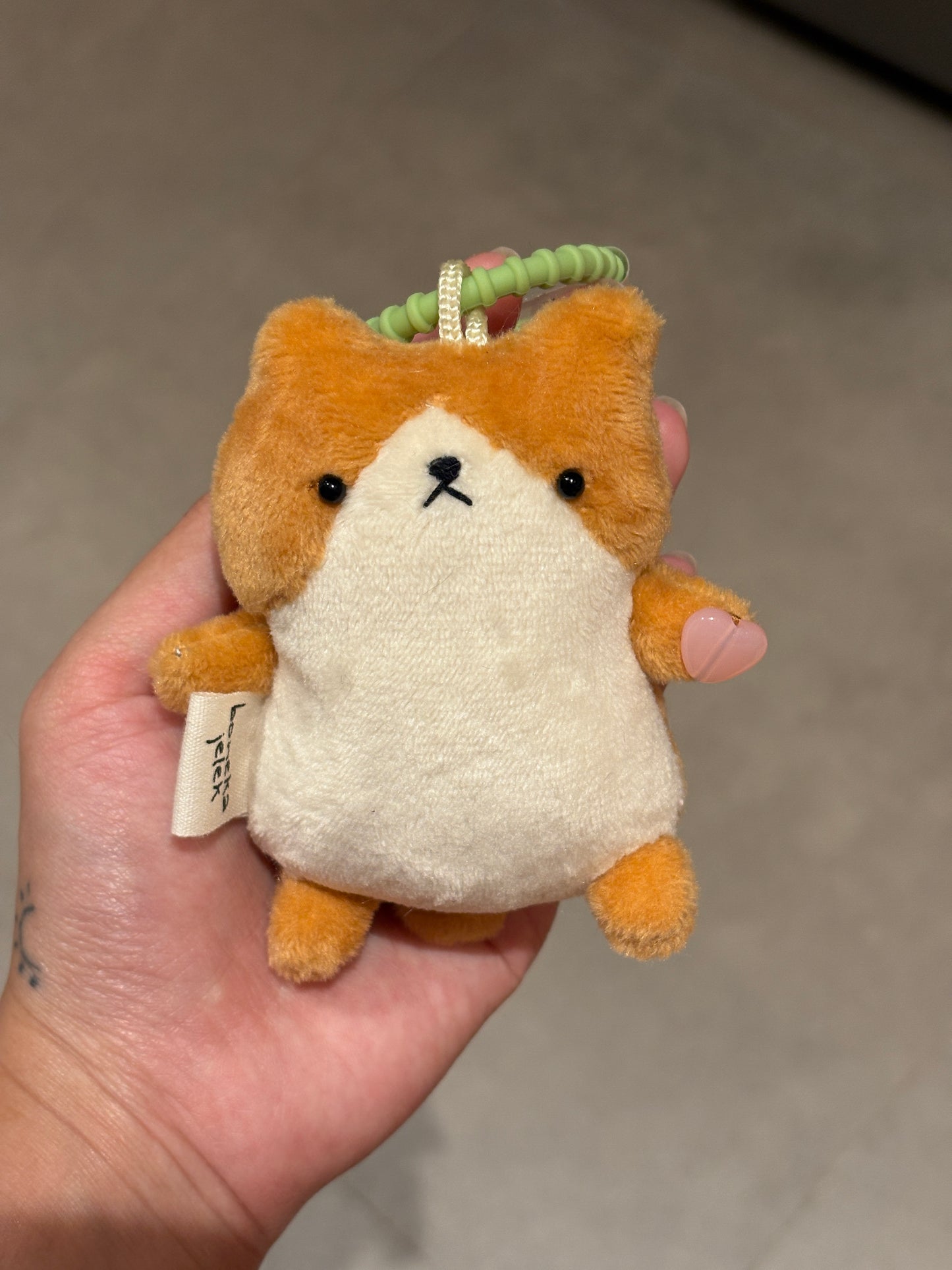 Shiba Heart
