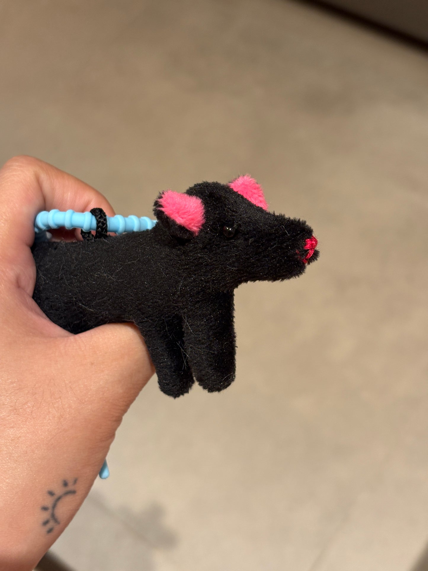 Black Pink Dog