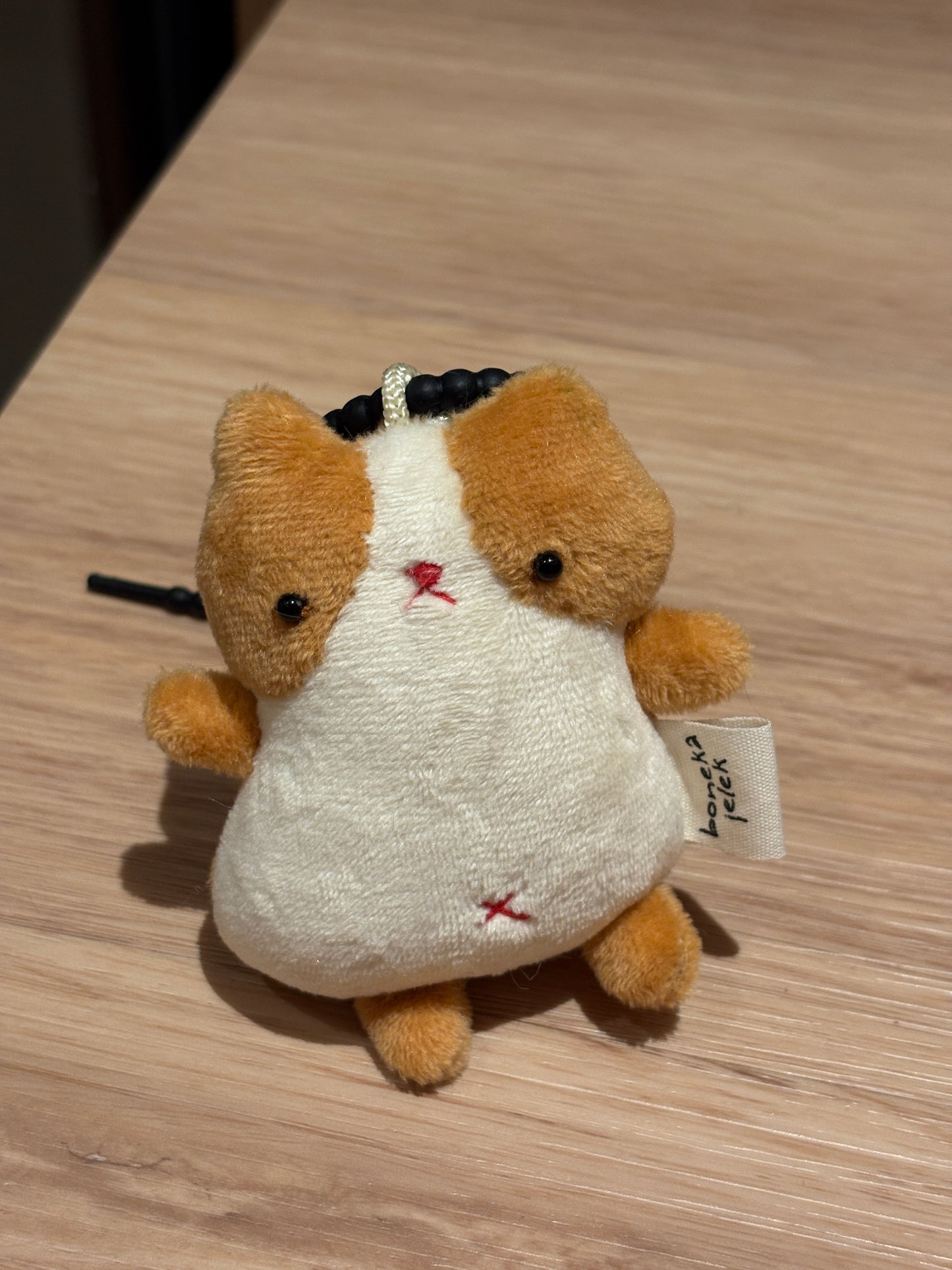 Chubby Cat
