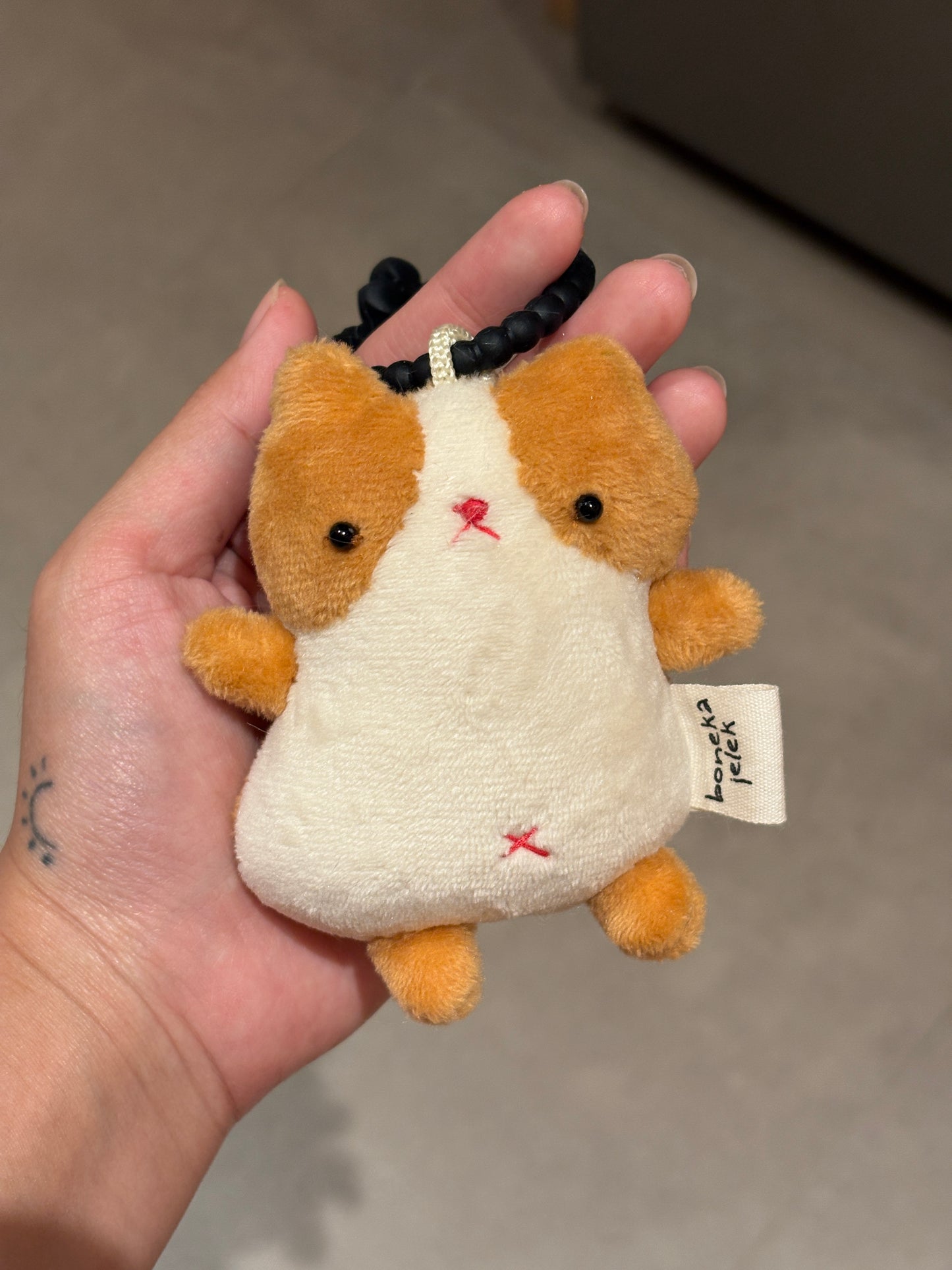 Chubby Cat