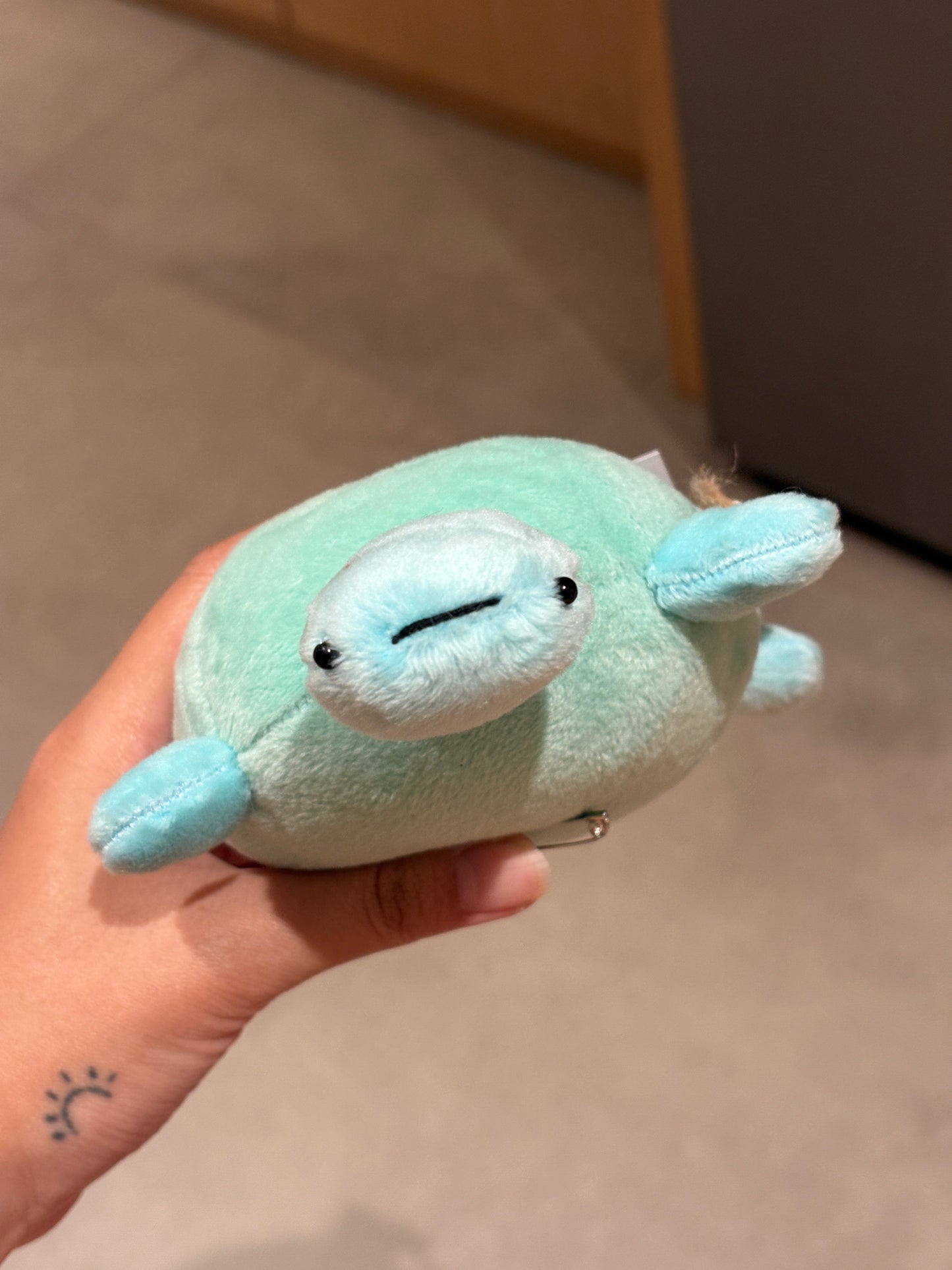 Turtle