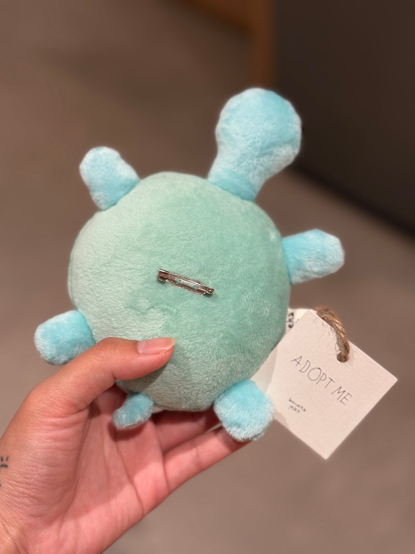 Turtle