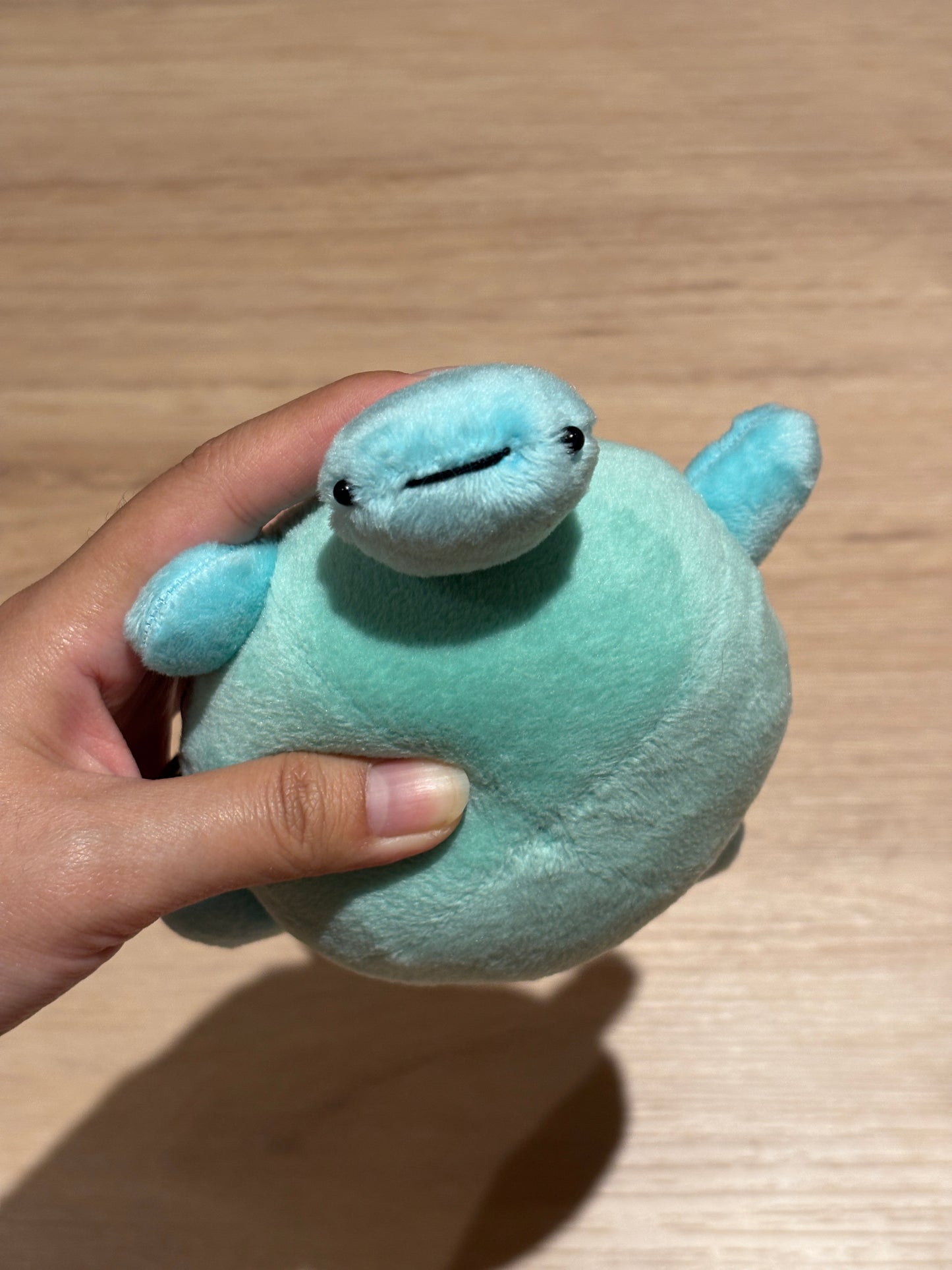 Turtle