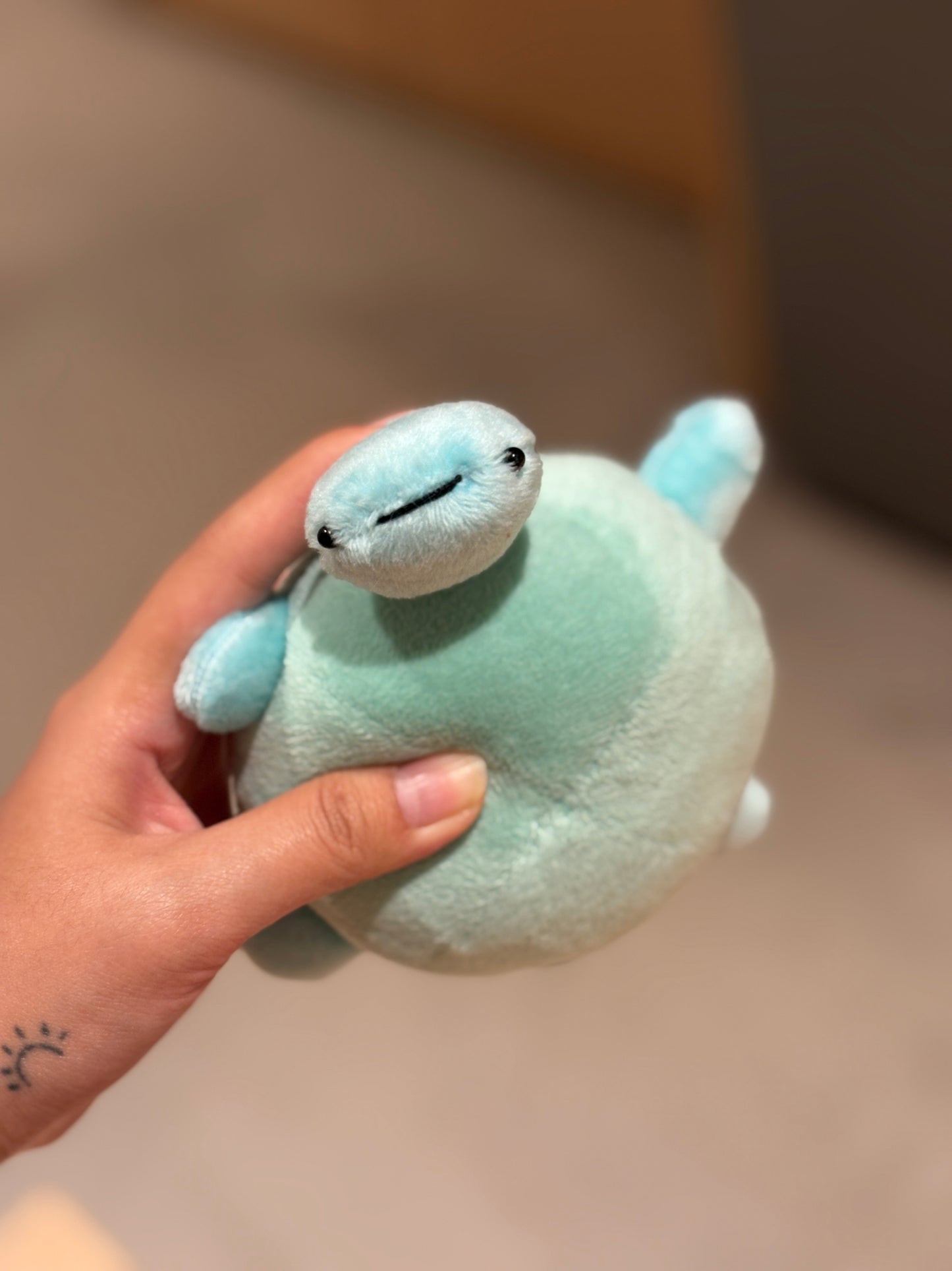 Turtle