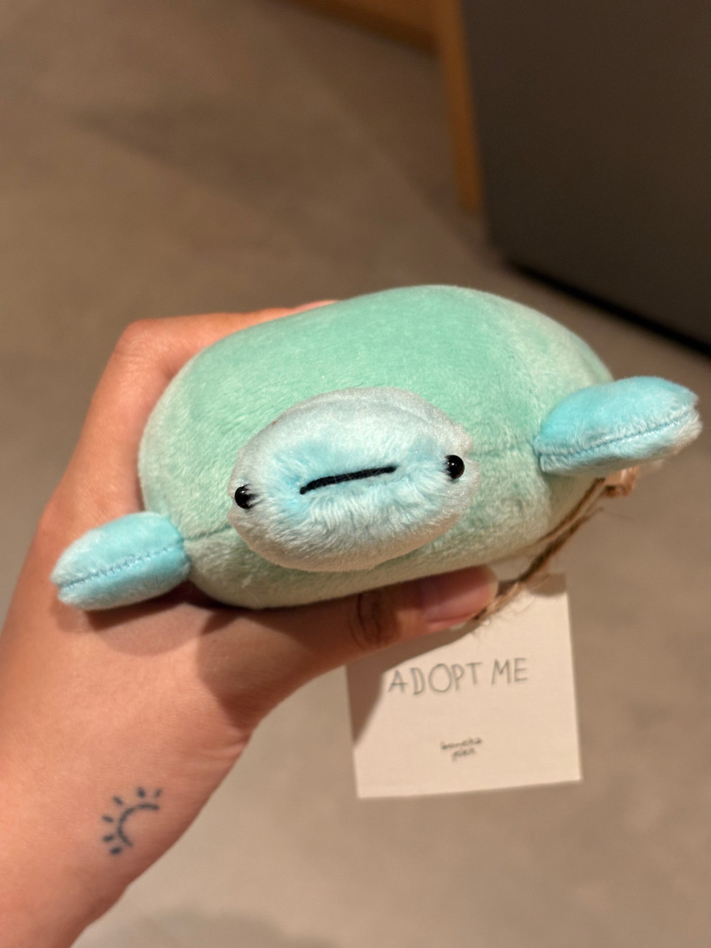 Turtle