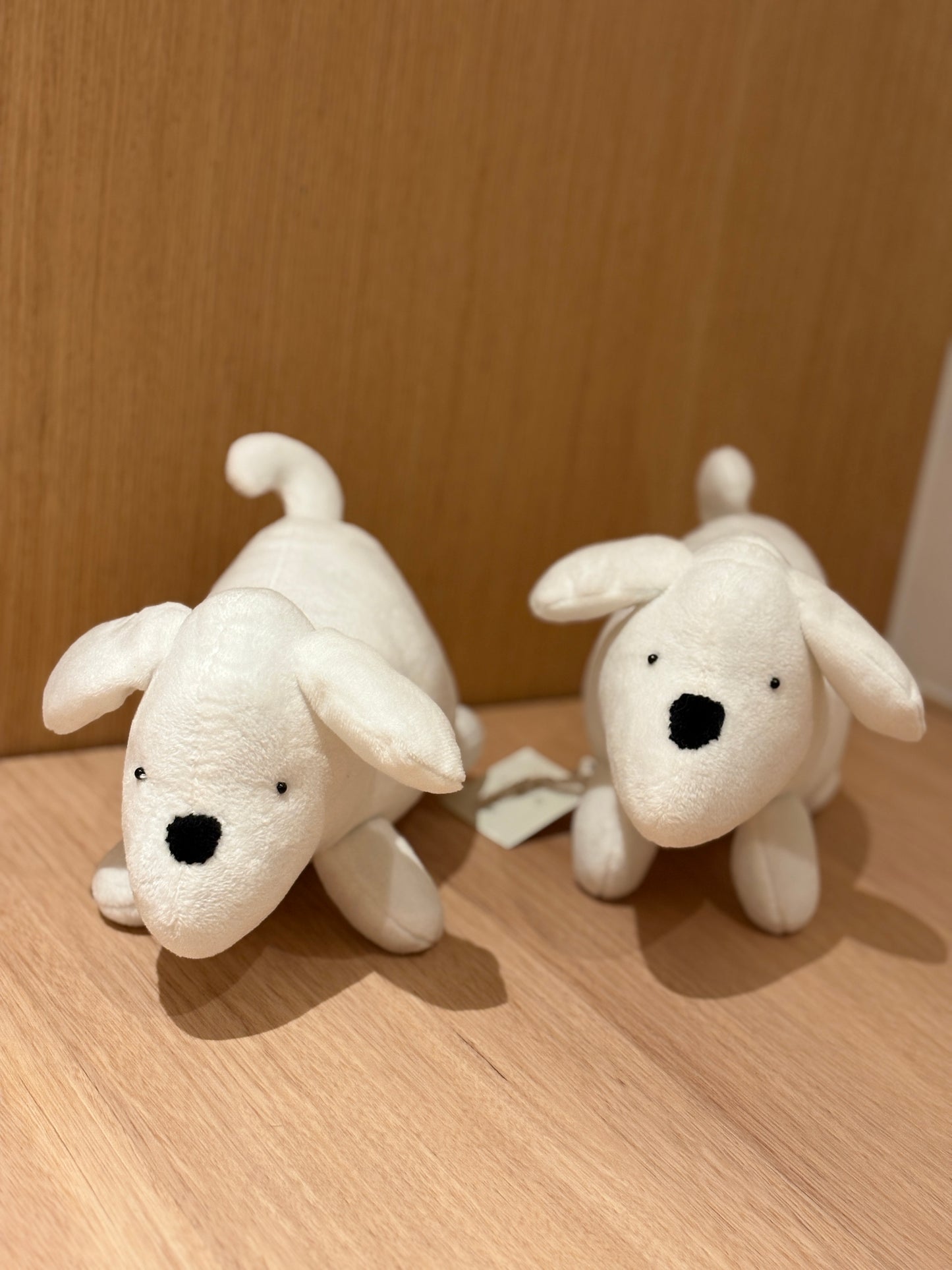 White Dogs