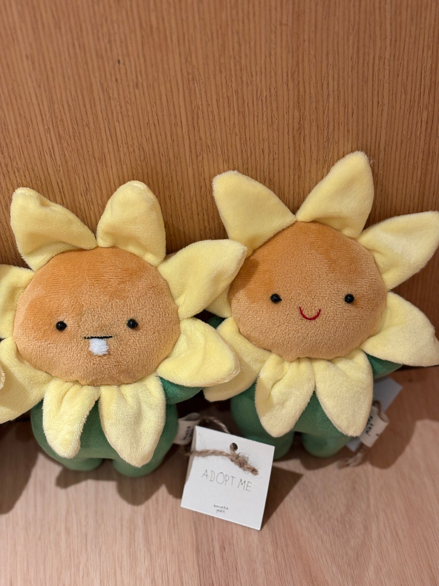 Sunflowers (Babeeboo x Boneka Jelek)