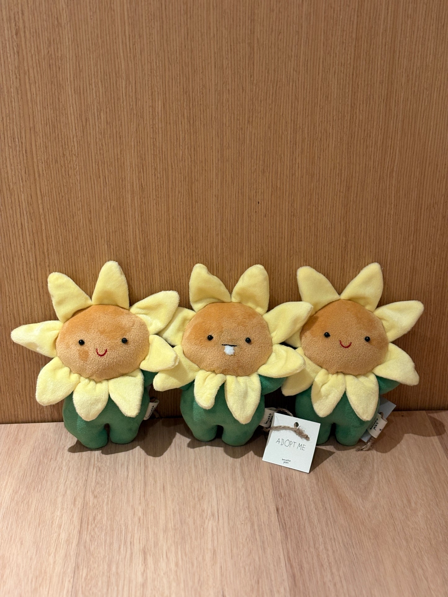 Sunflowers (Babeeboo x Boneka Jelek)