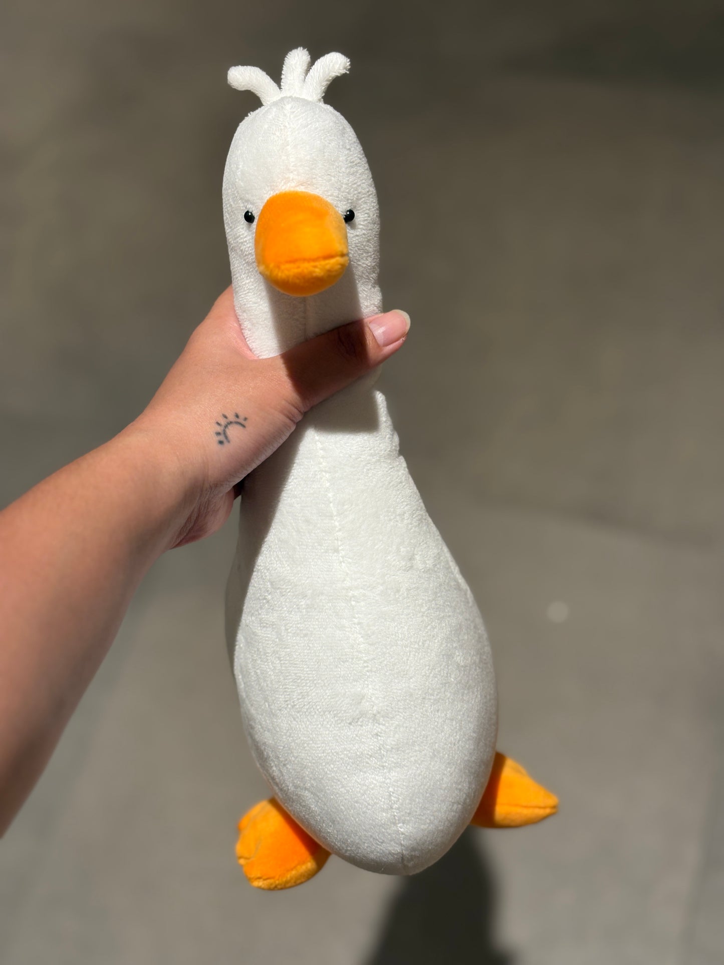 Waddle Ducks