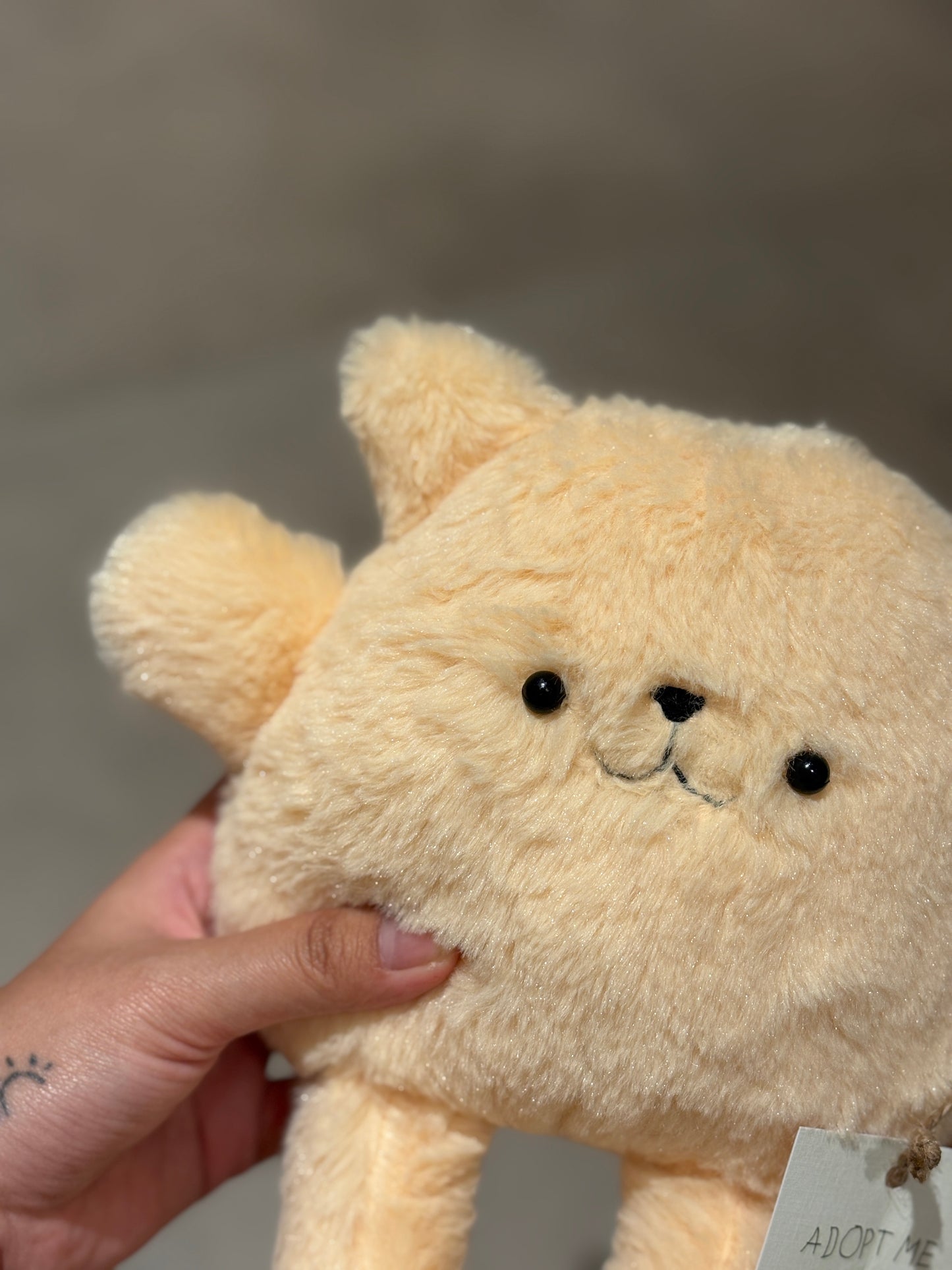 Mochi Bear