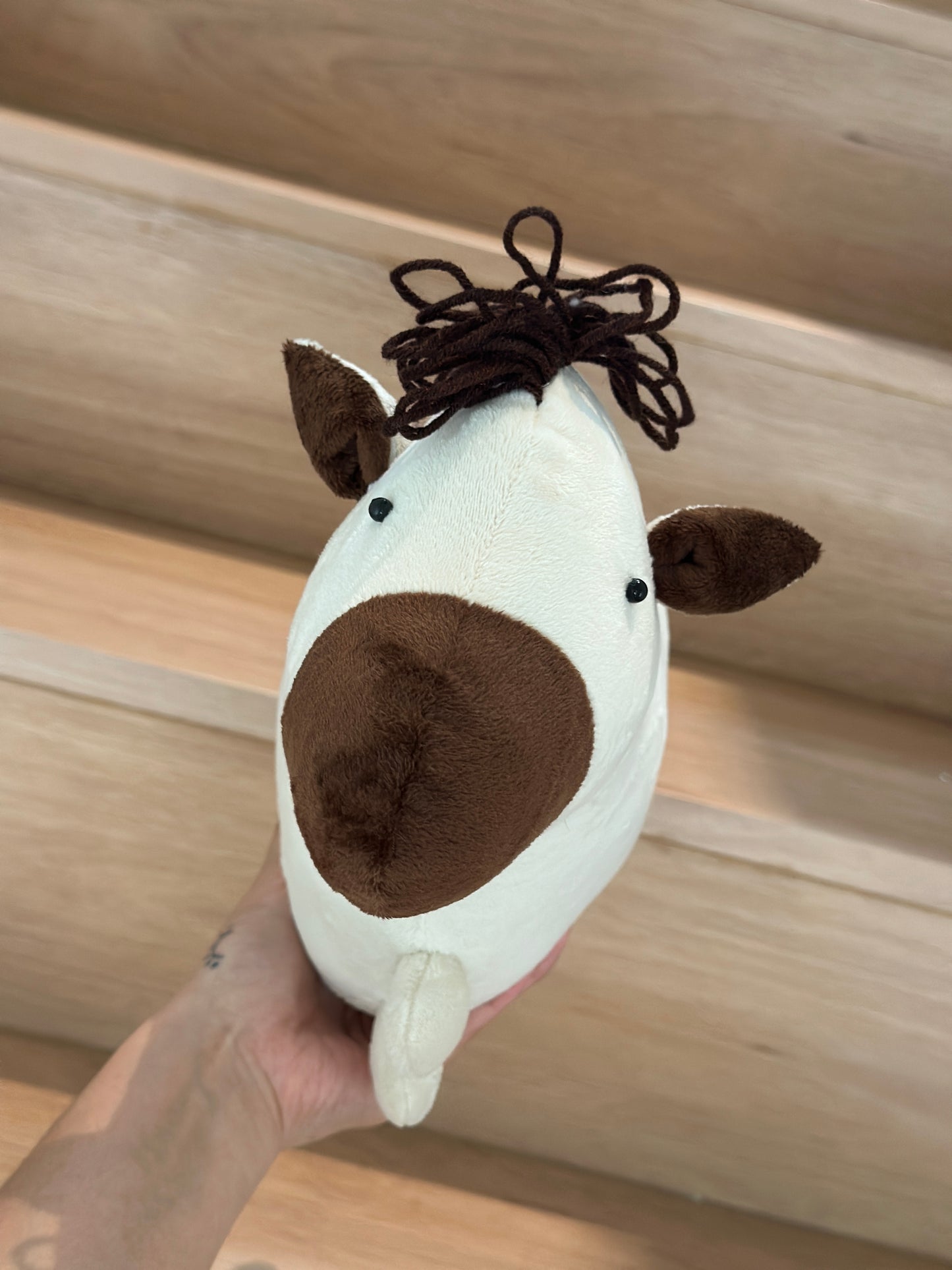 Arlo the Donkey