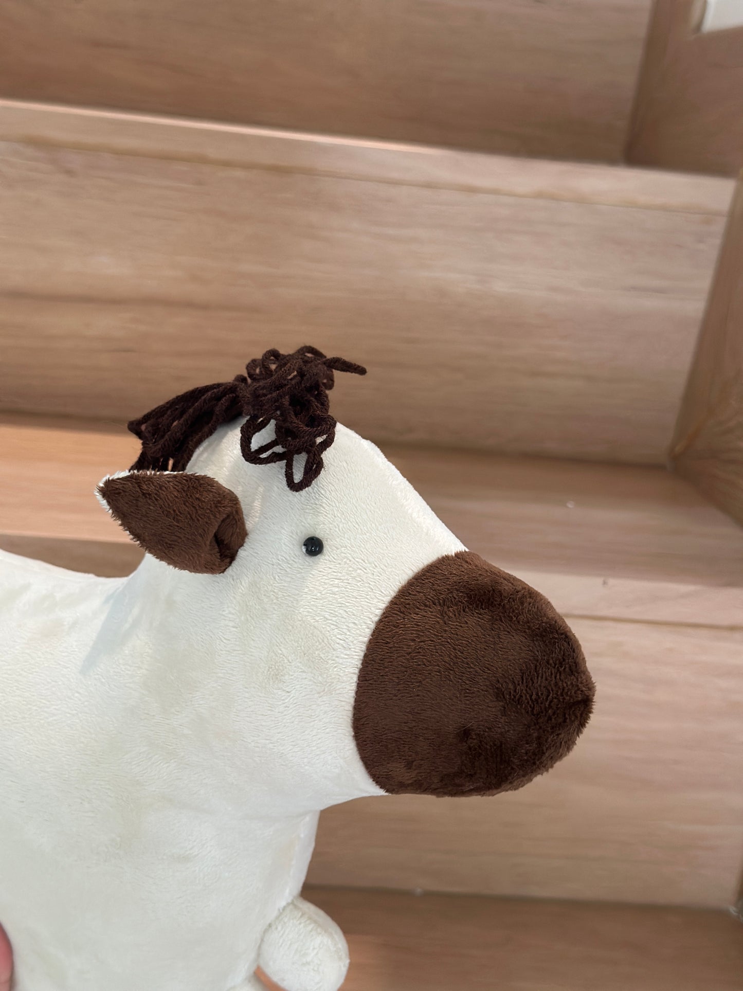 Arlo the Donkey