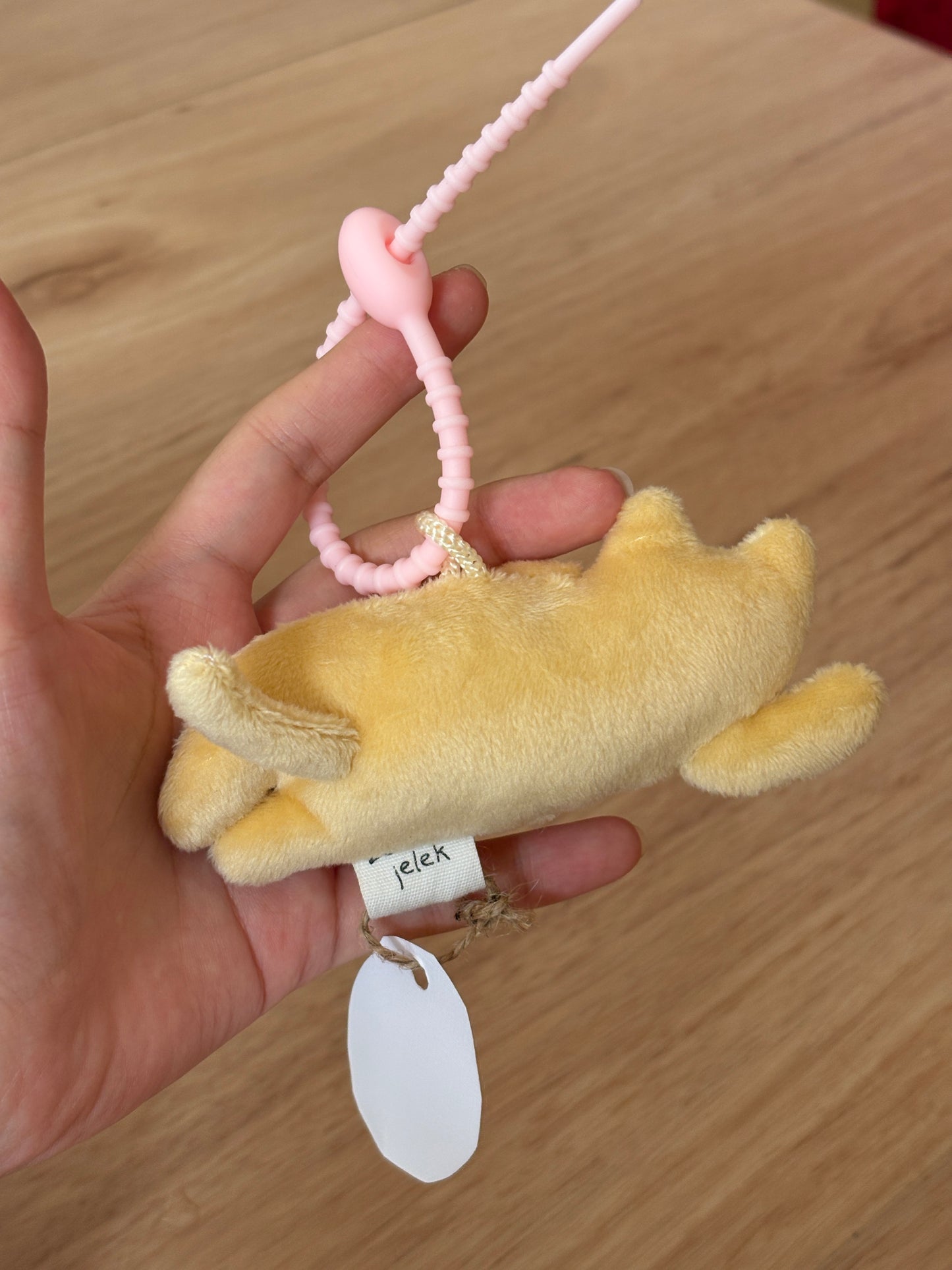 Sleepy Yellow Cat
