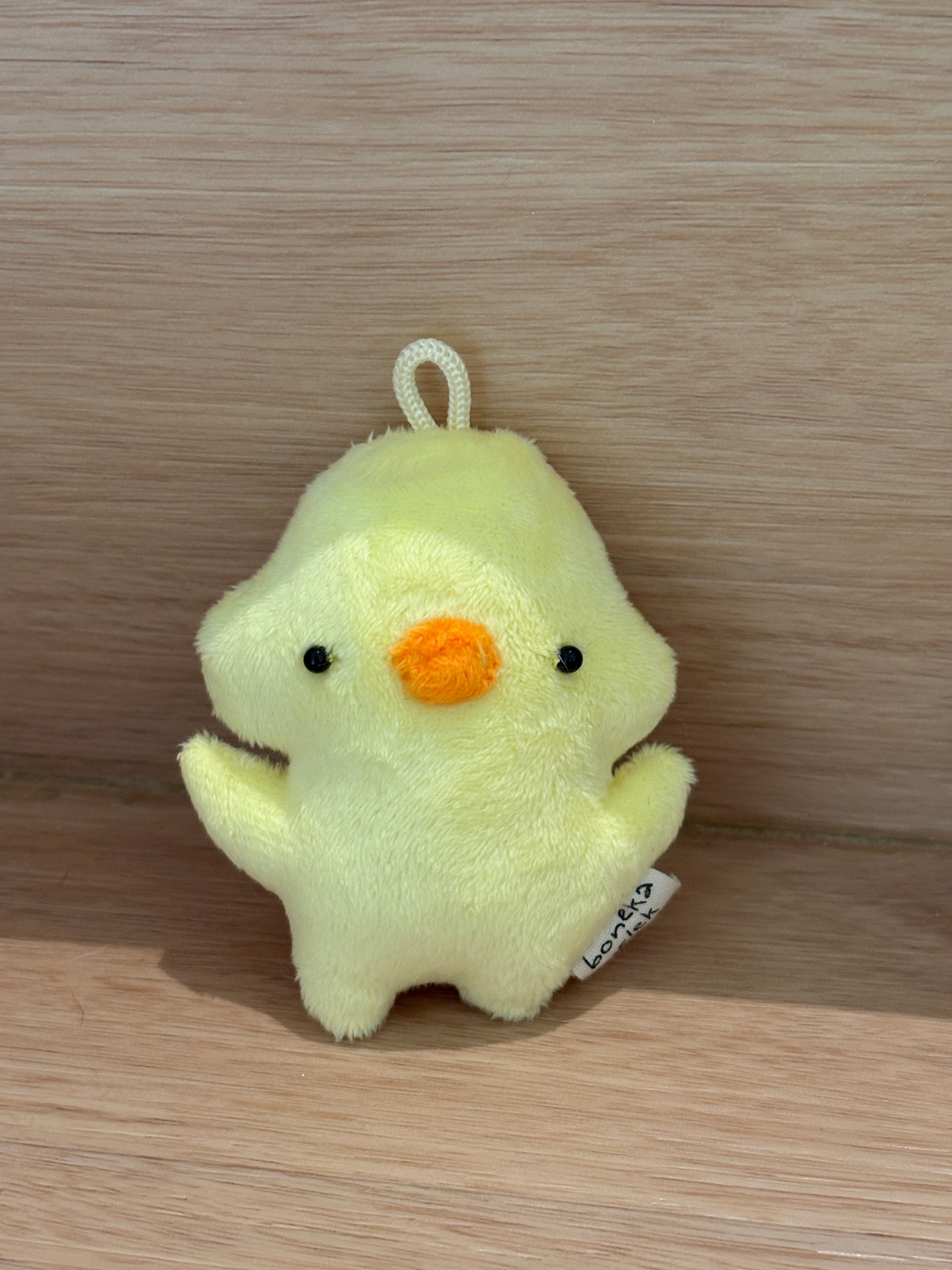 Pouty Duck
