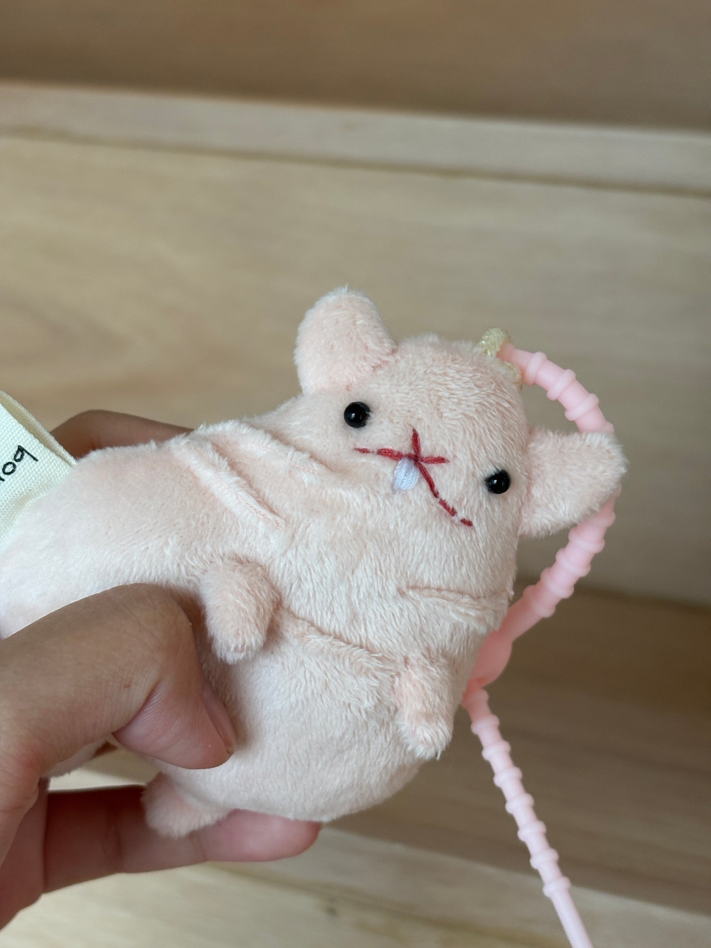 Pentol the Hairless Rat