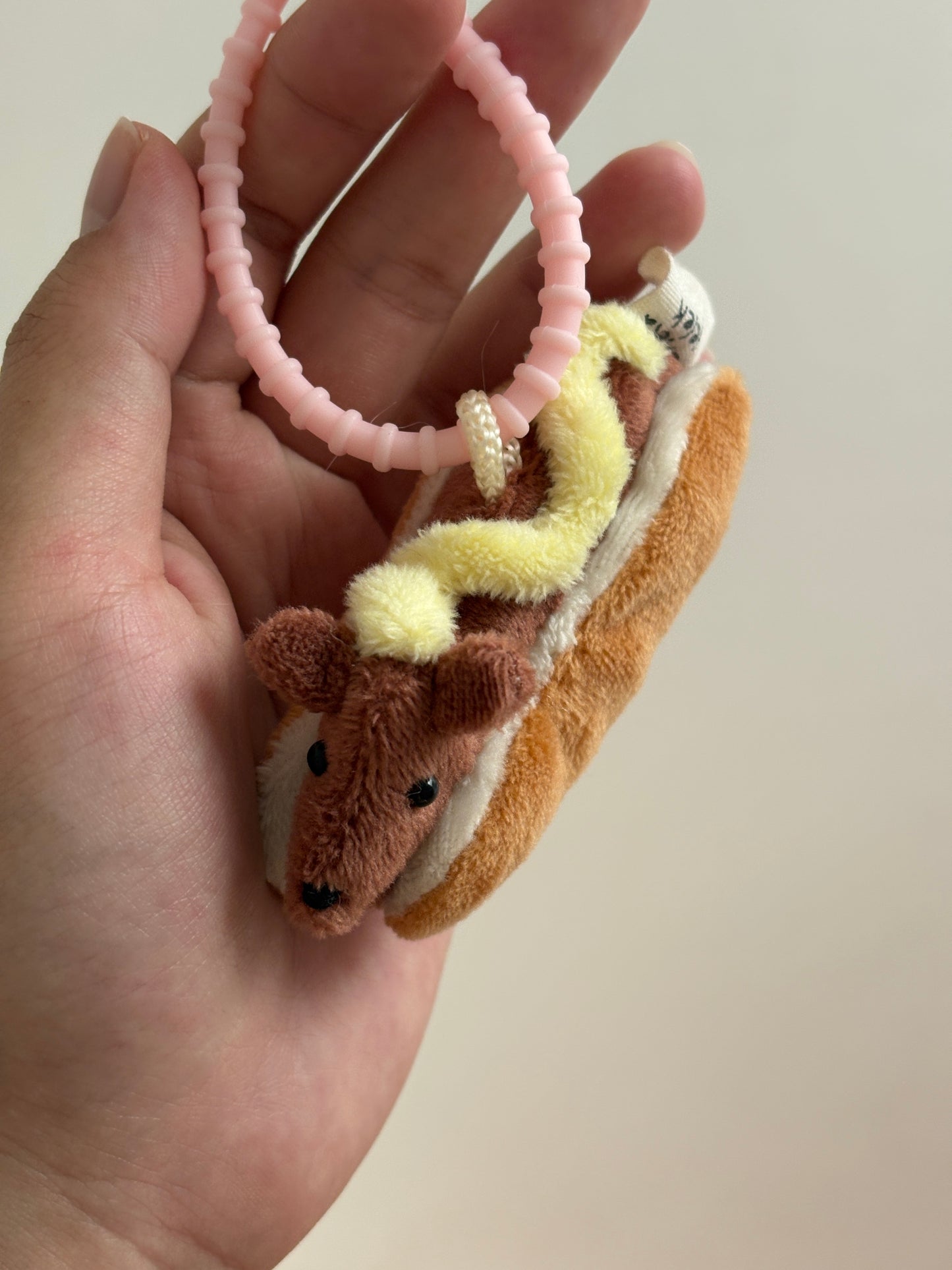 Kibo the Sausage Dog