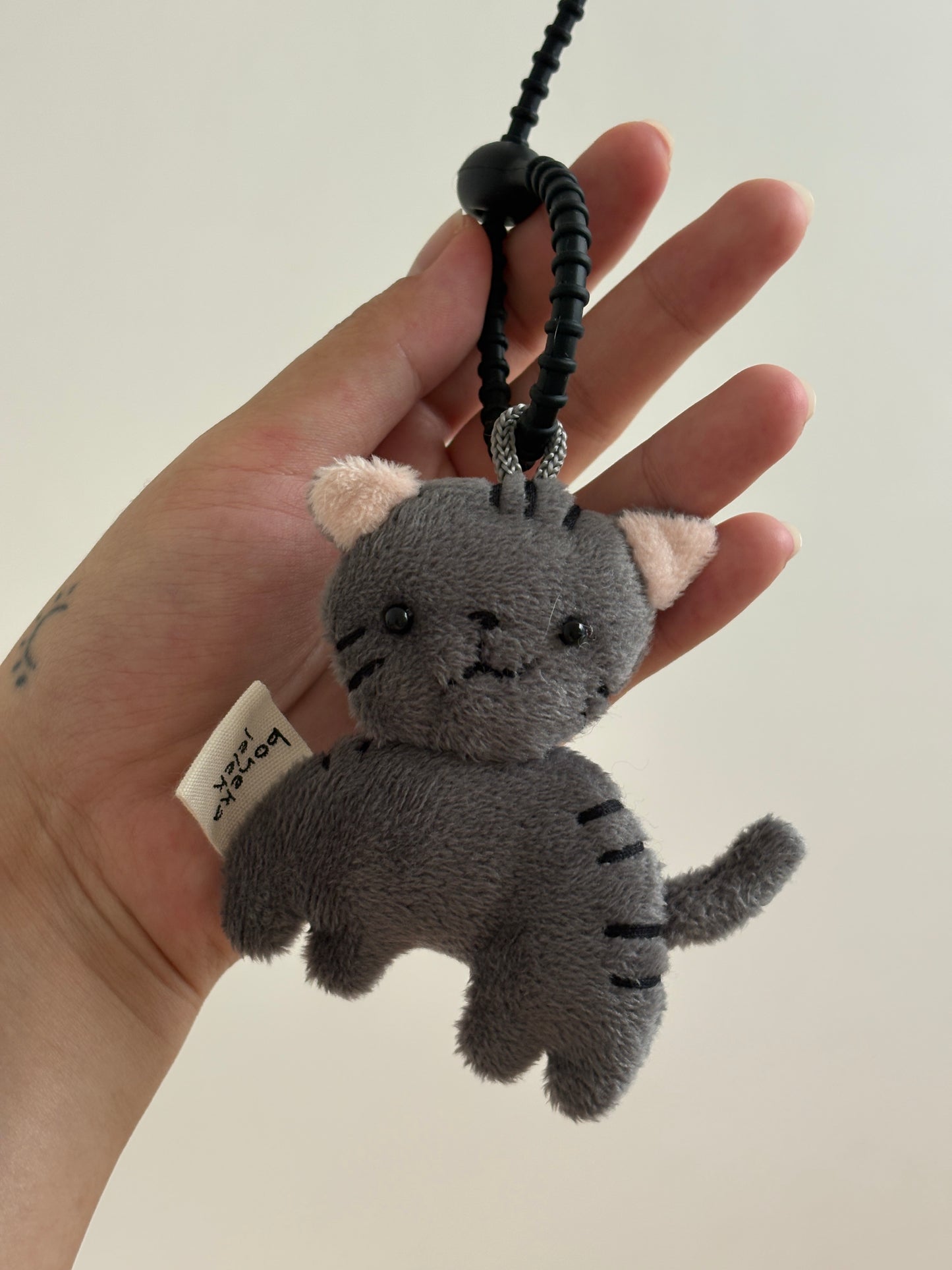 Buncha the Tabby Cat