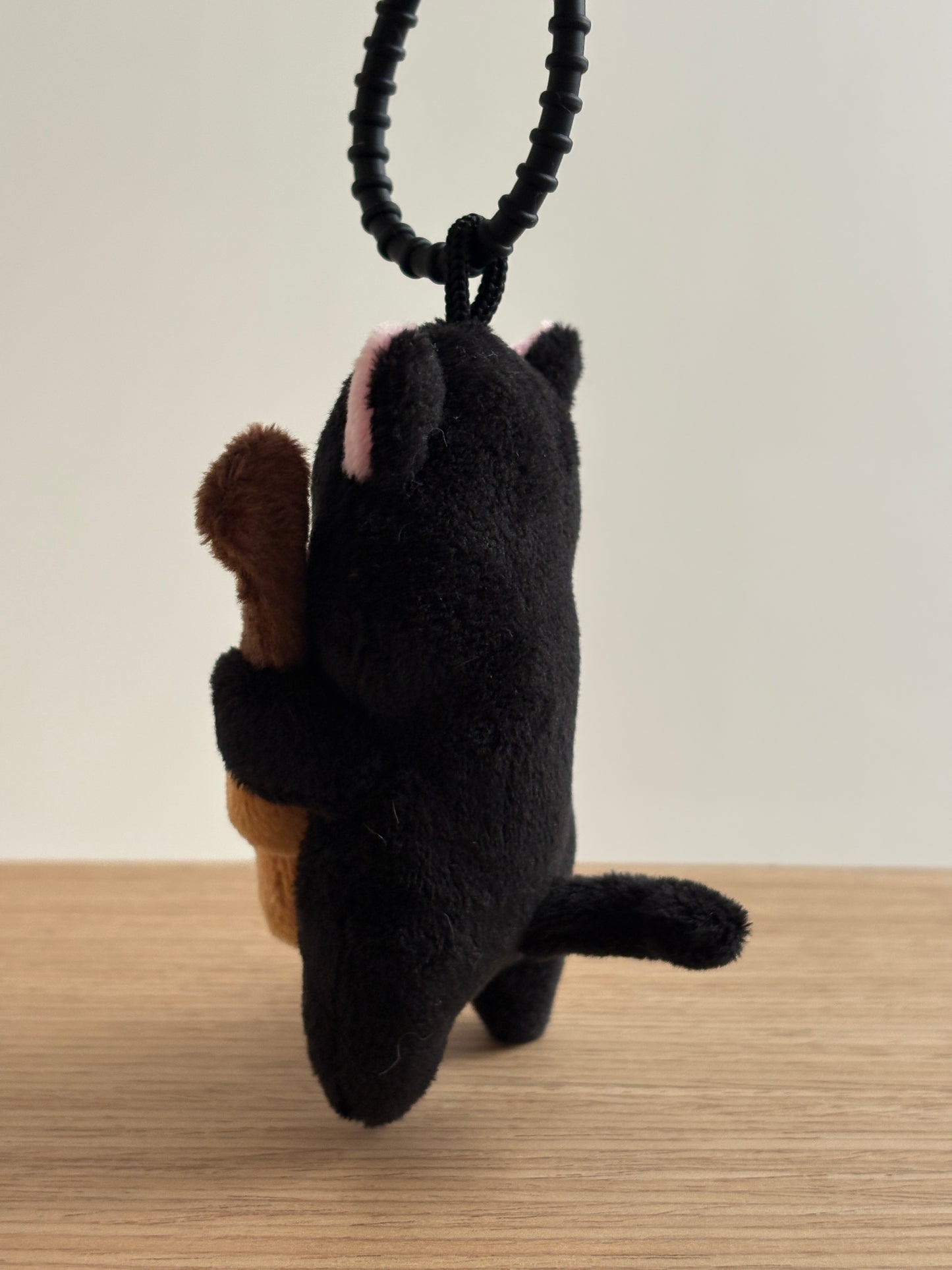 Cobi the Guitaris Cat