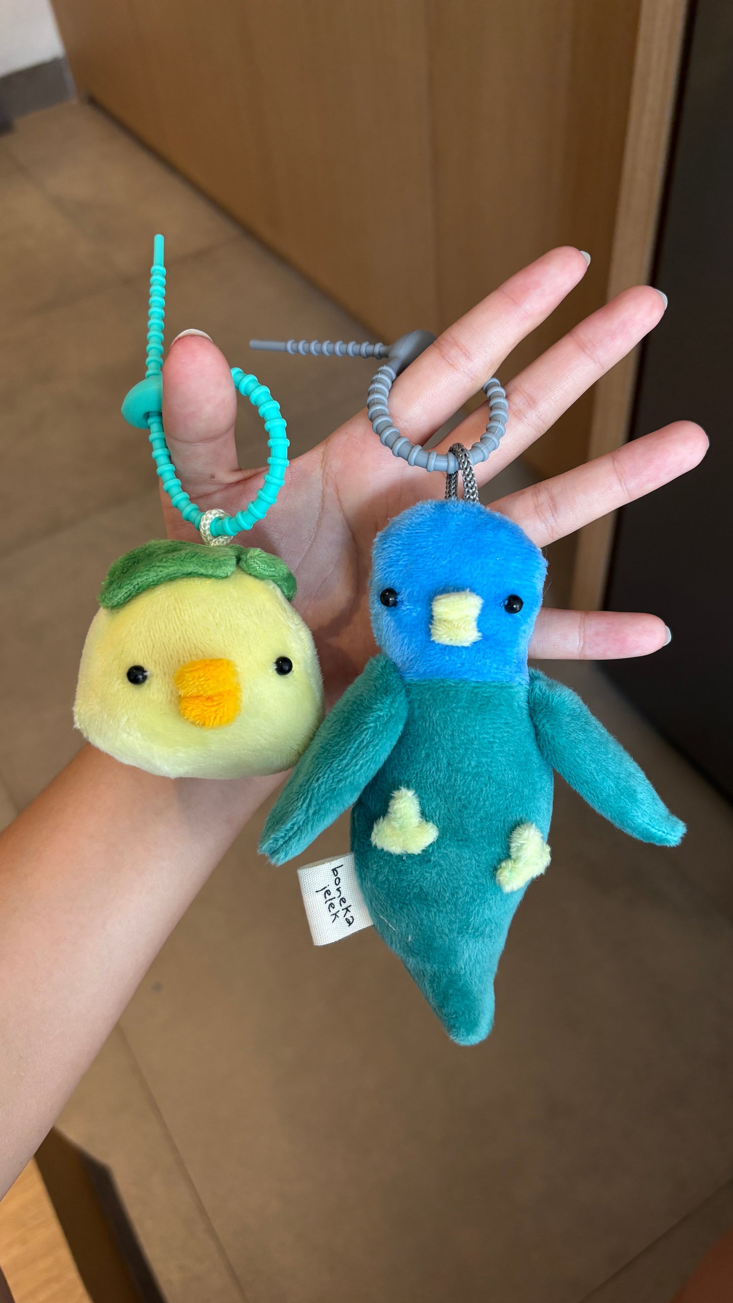 Buyung the Blue Headed Parrot