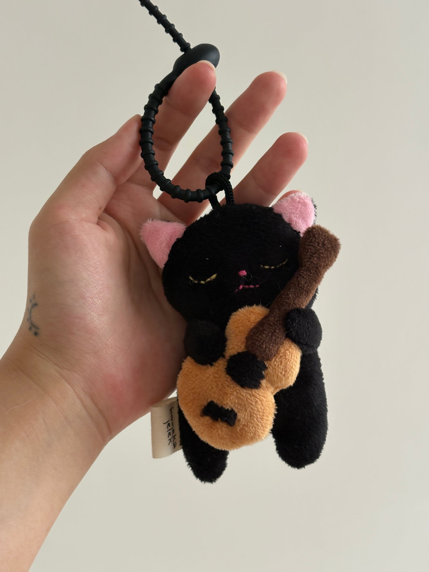 Cobi the Guitaris Cat