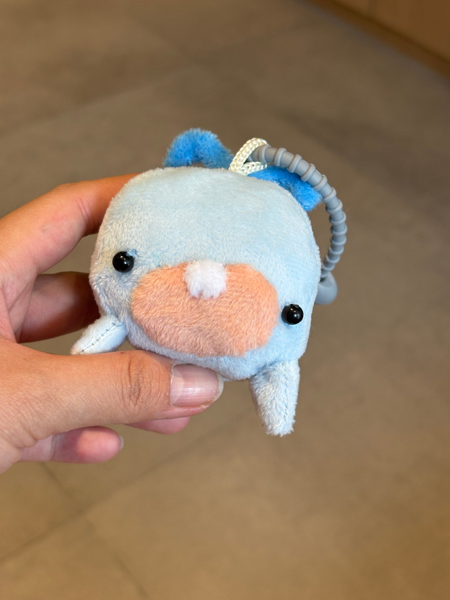 Jadu the Whale
