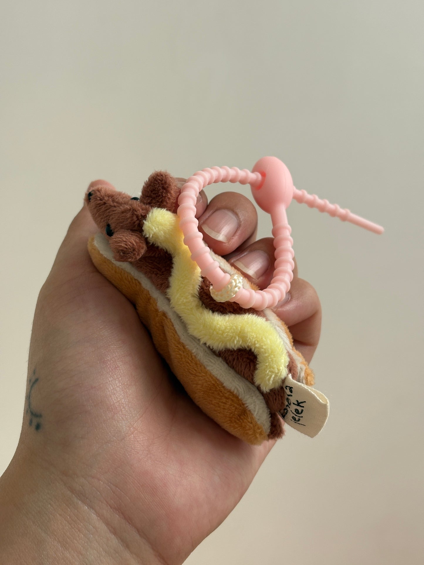 Kibo the Sausage Dog