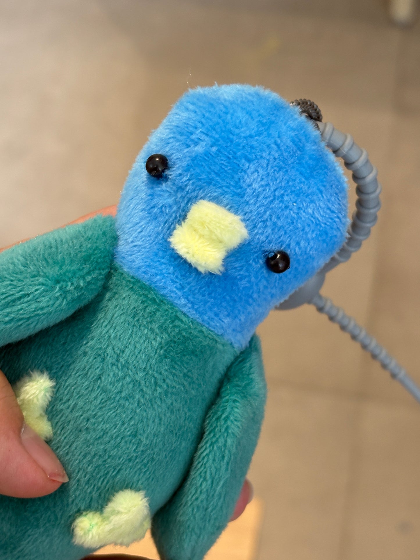 Buyung the Blue Headed Parrot