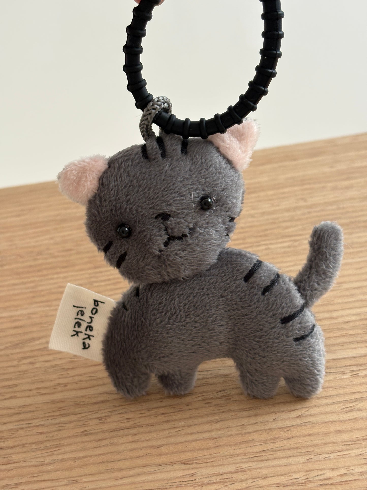 Buncha the Tabby Cat