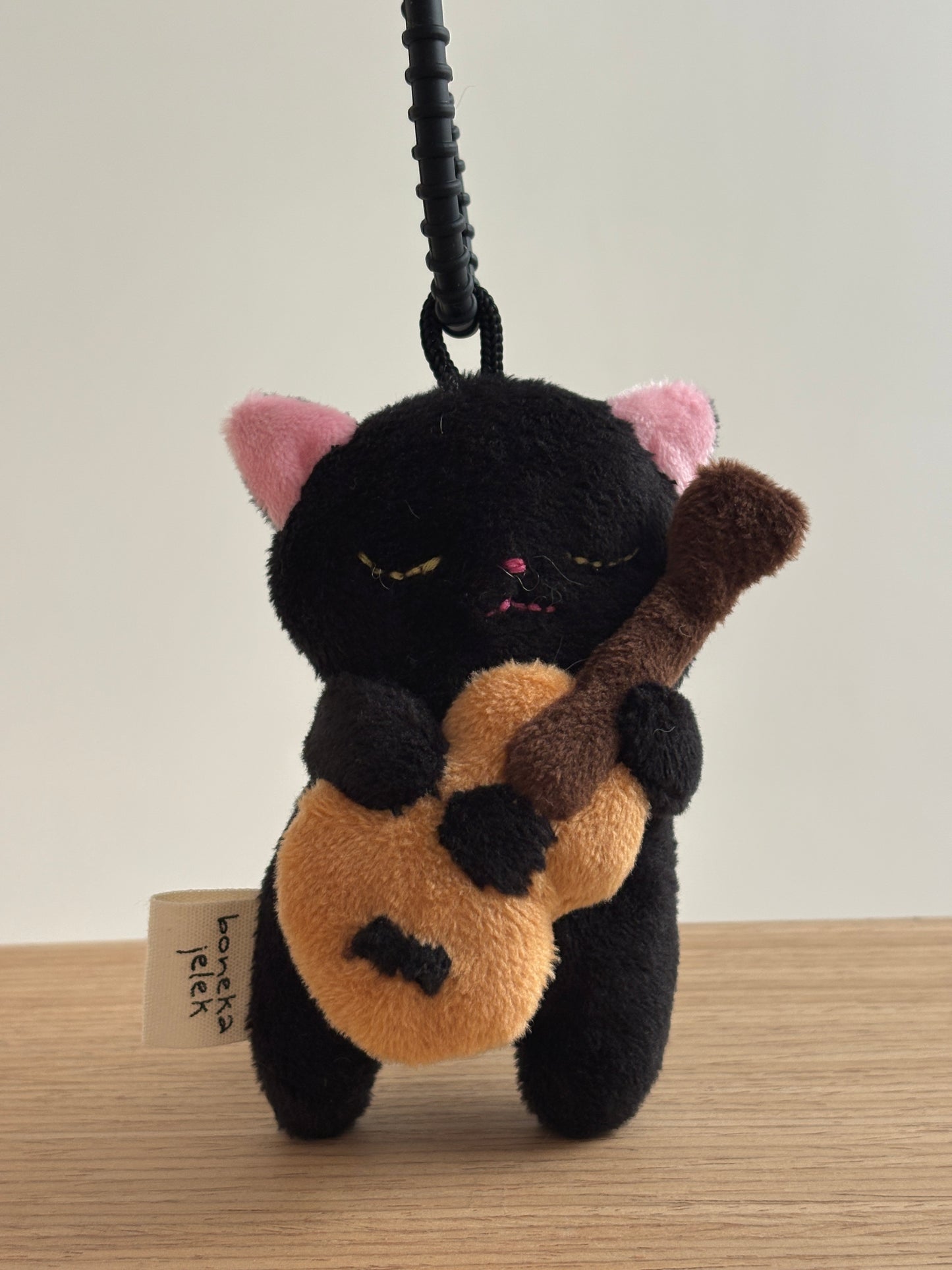 Cobi the Guitaris Cat