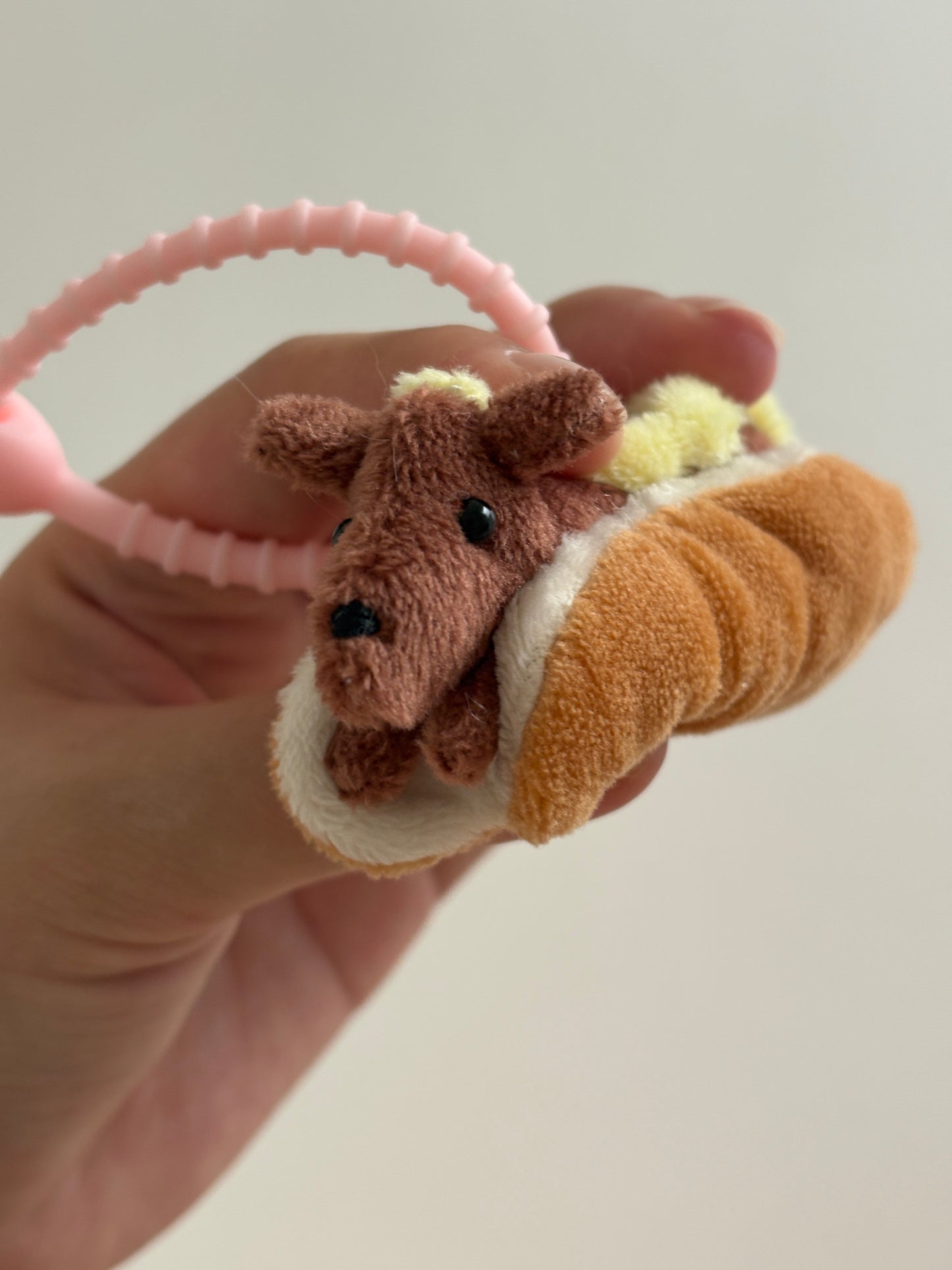 Kibo the Sausage Dog