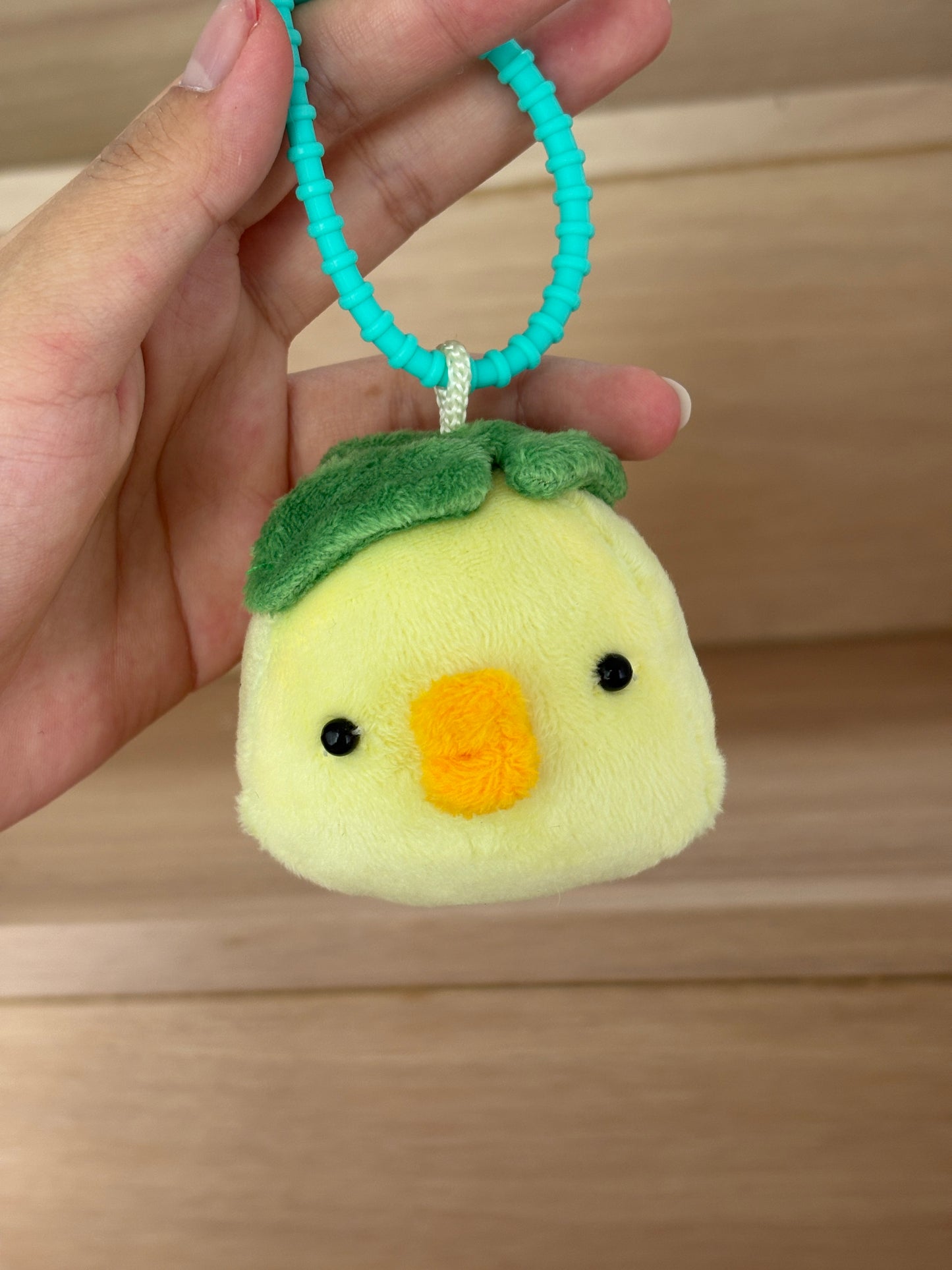Encip the Mochi Headed Chicken