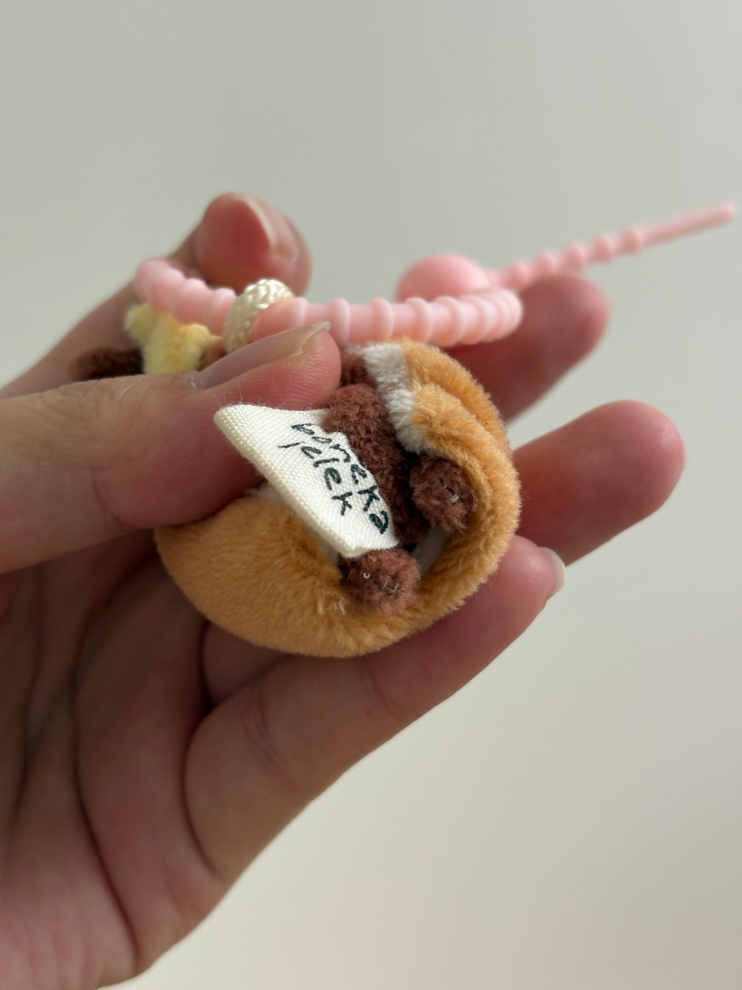 Kibo the Sausage Dog