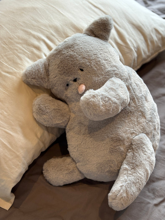 Bobo the British Shorthair Cat