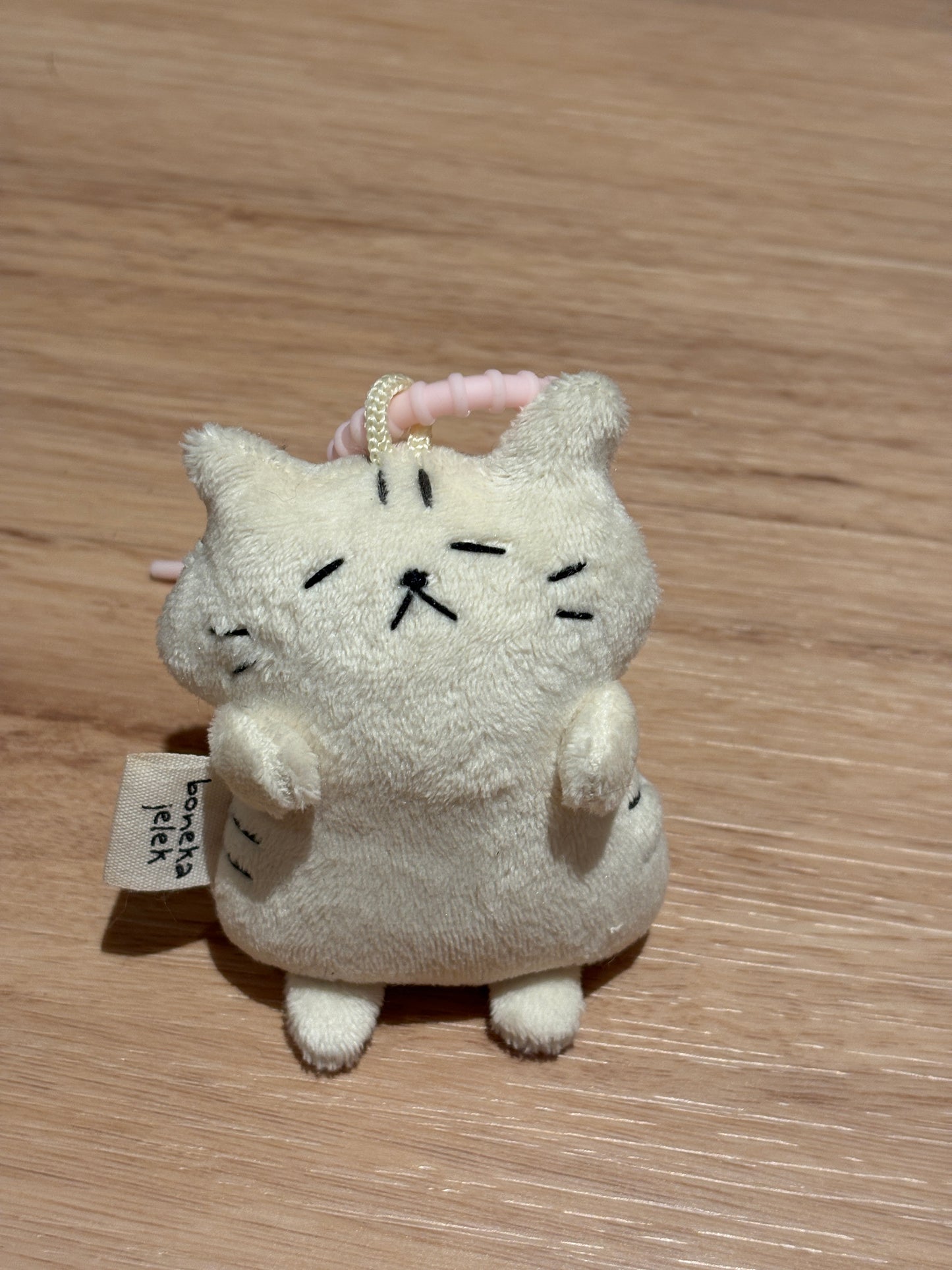 Sleepy Cat