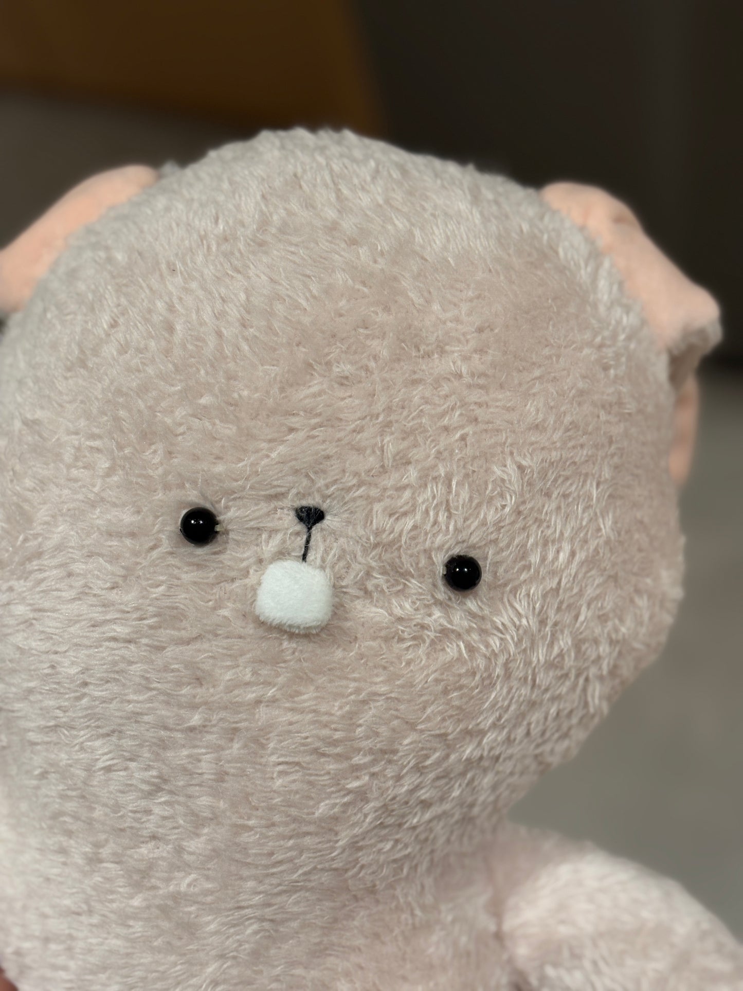 Bucktooth Rabbit