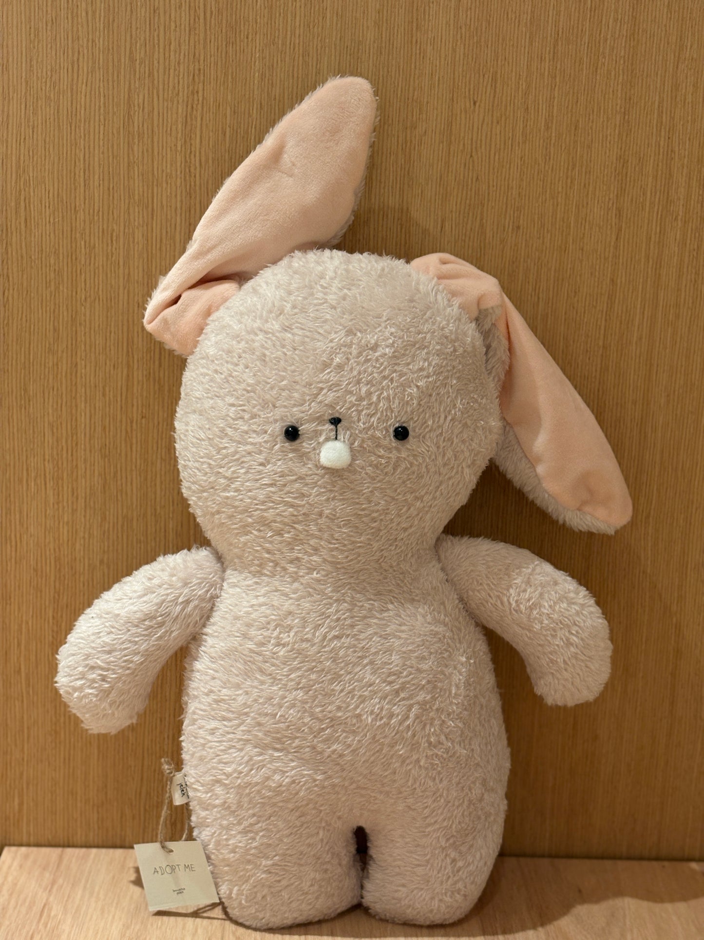 Bucktooth Rabbit