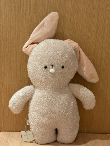 Bucktooth Rabbit