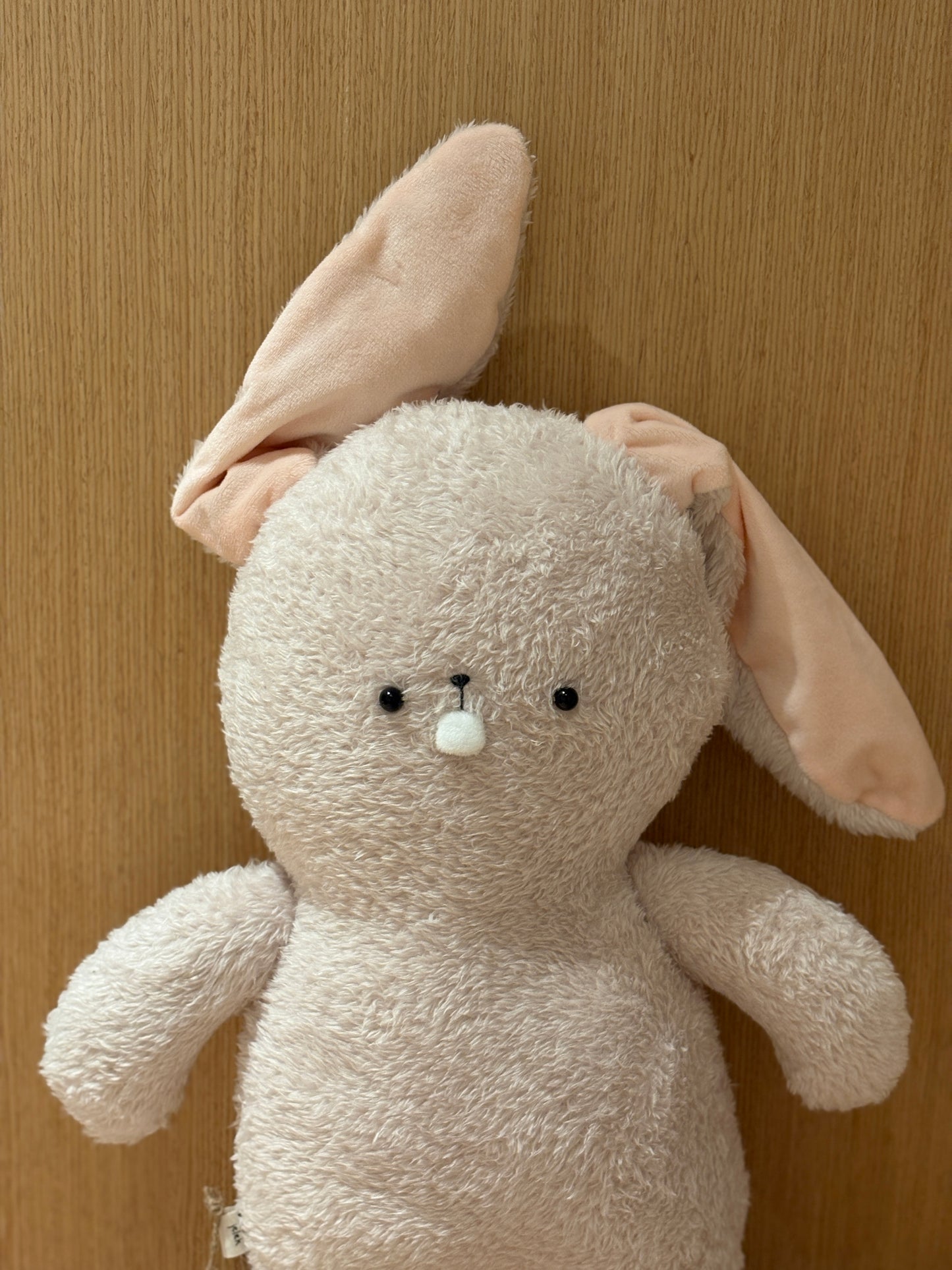 Bucktooth Rabbit