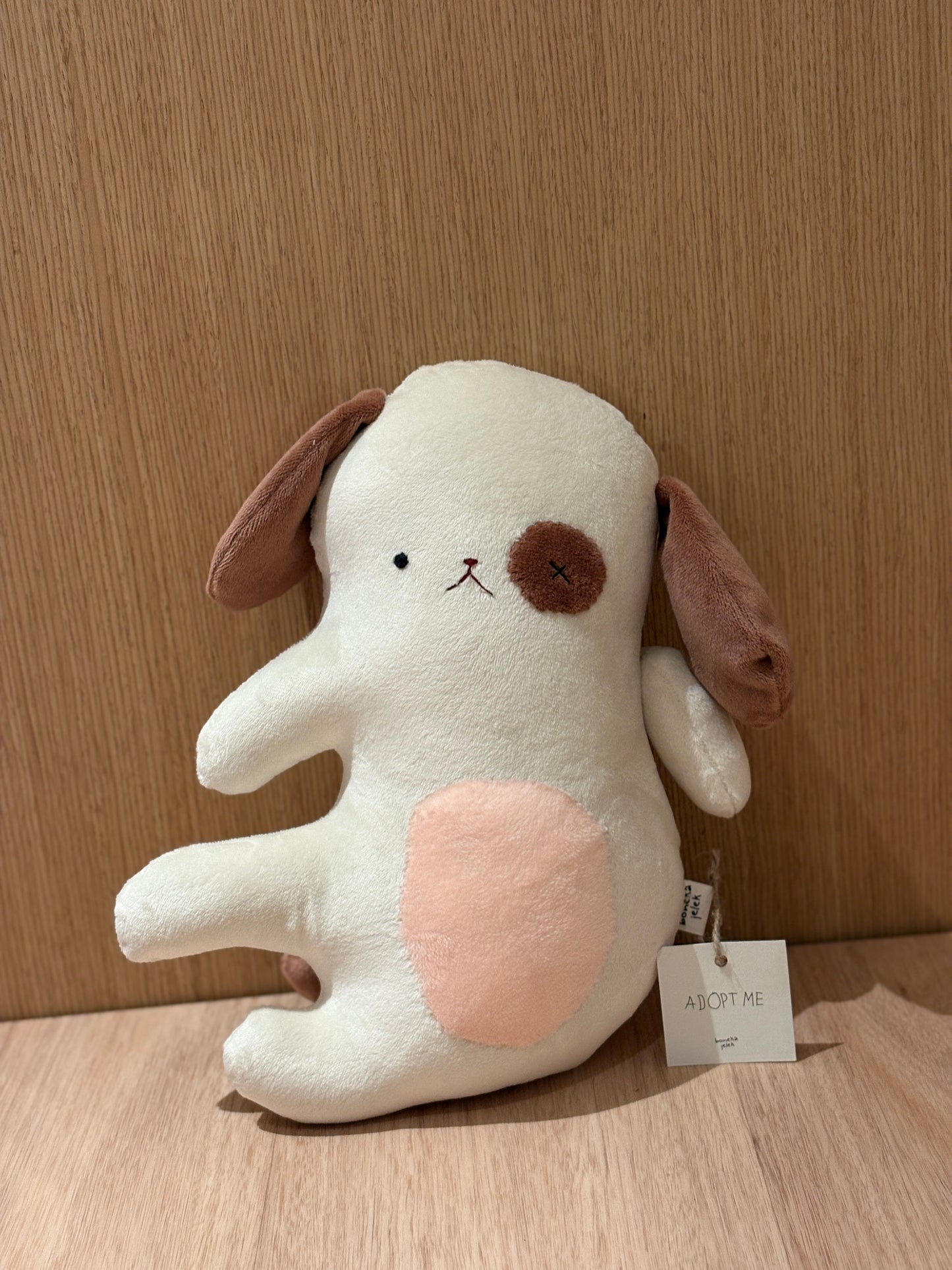 One Eyed Dog