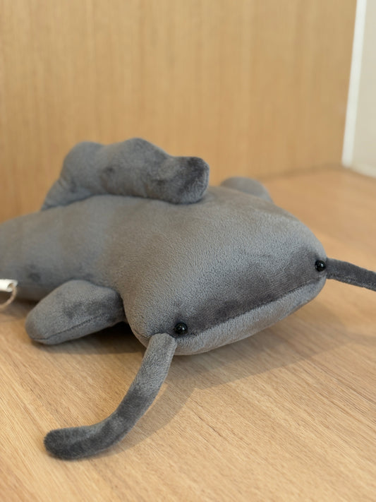 Catfish