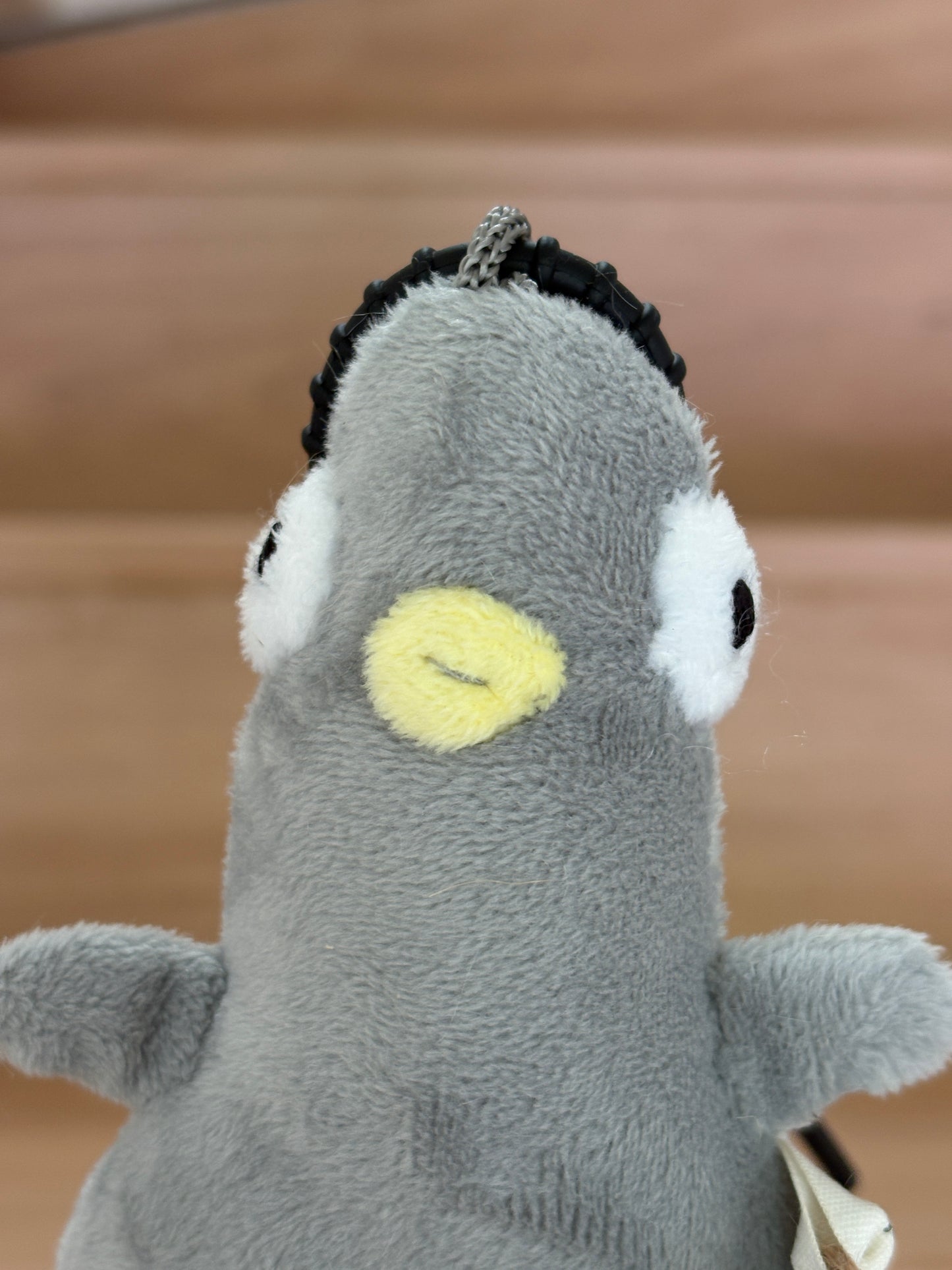 Pigeon