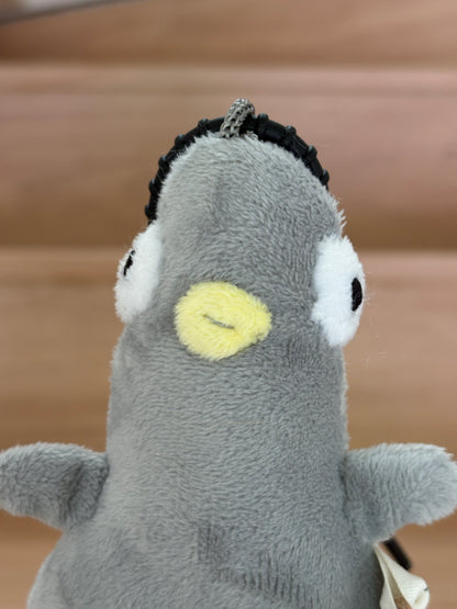 Pigeon