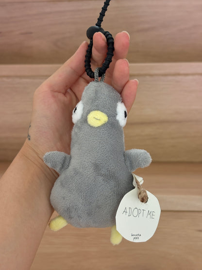 Pigeon