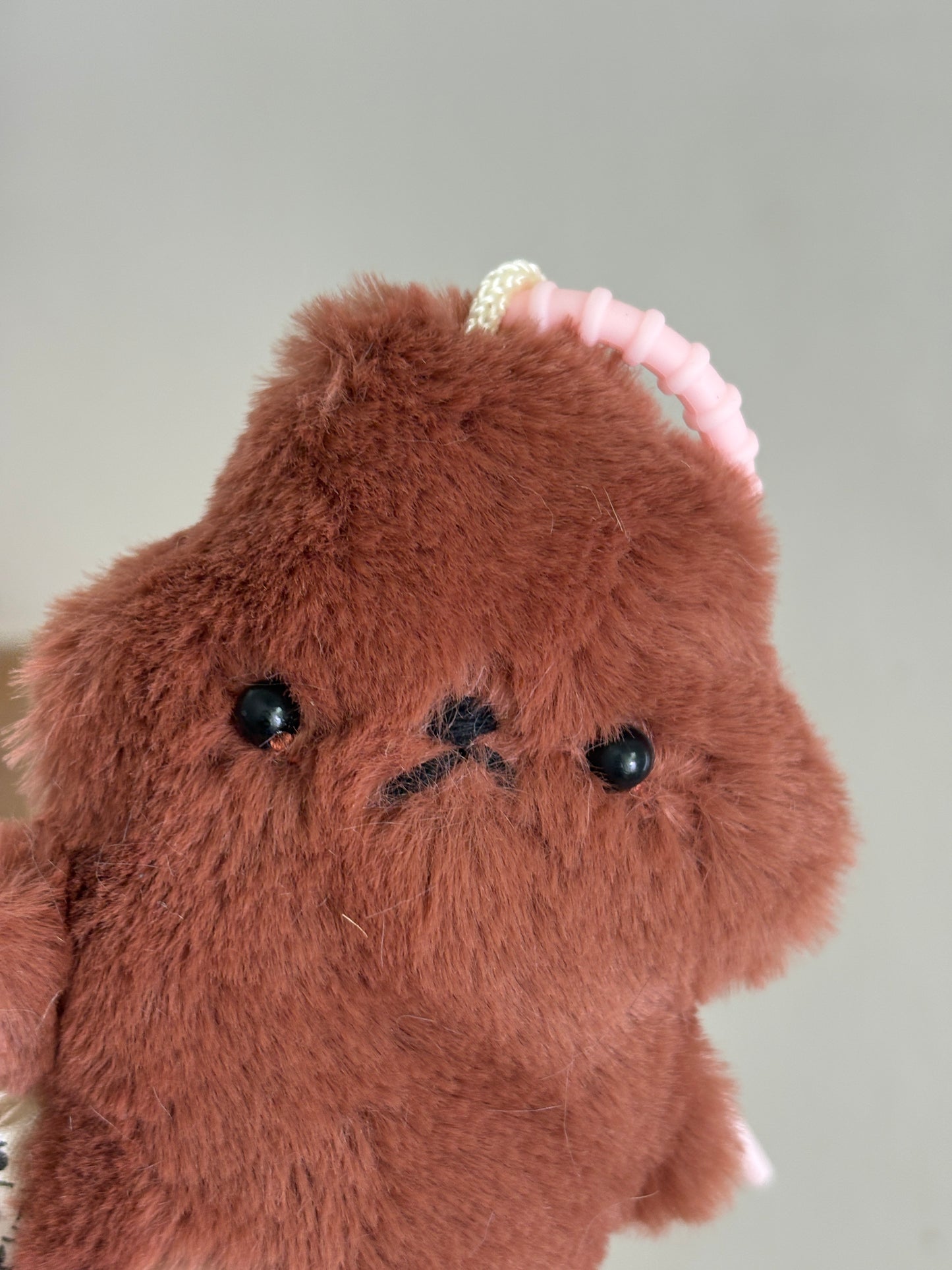 Red Poodle