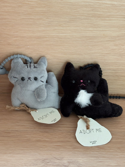Kucing Komplek